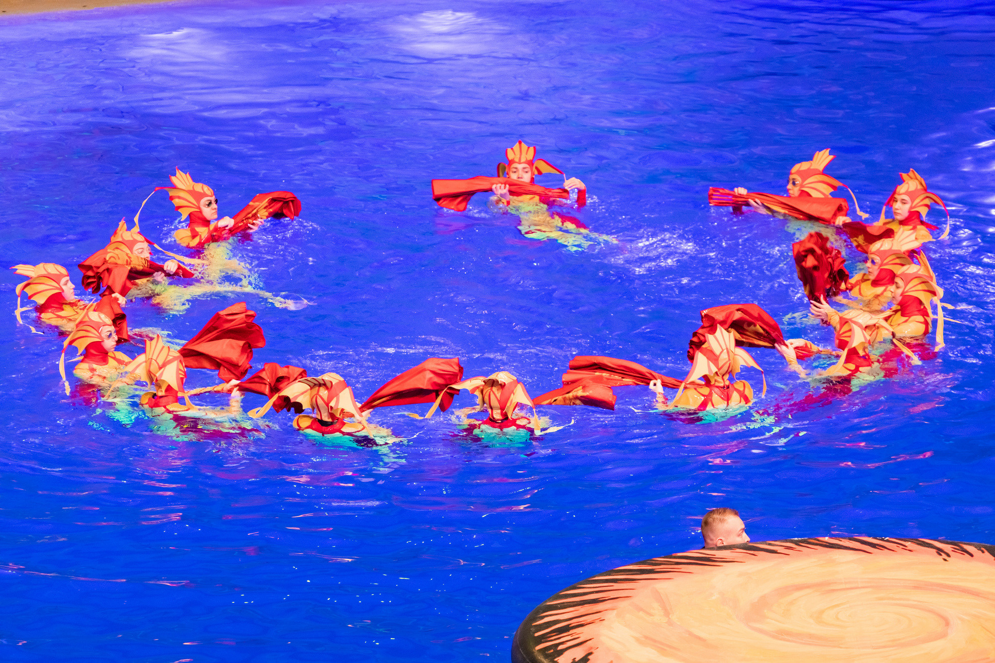 МОСКВАРИУМ. Свадебный фотограф Москва