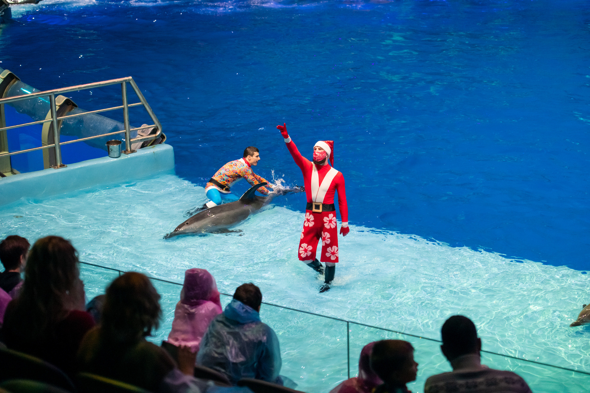 МОСКВАРИУМ. Свадебный фотограф Москва