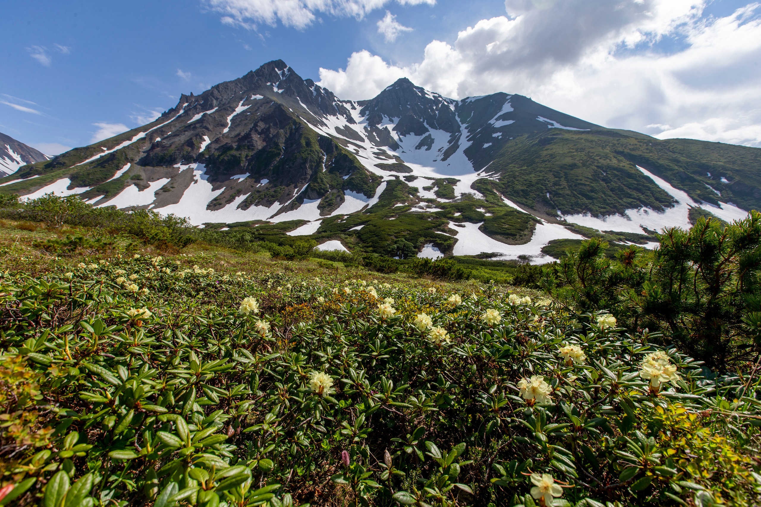 Вачкажец зимой — снежные долины и хрустящий воздух. Время Камчатки: чтобы найти свой путь, нужно скорость умножить на время