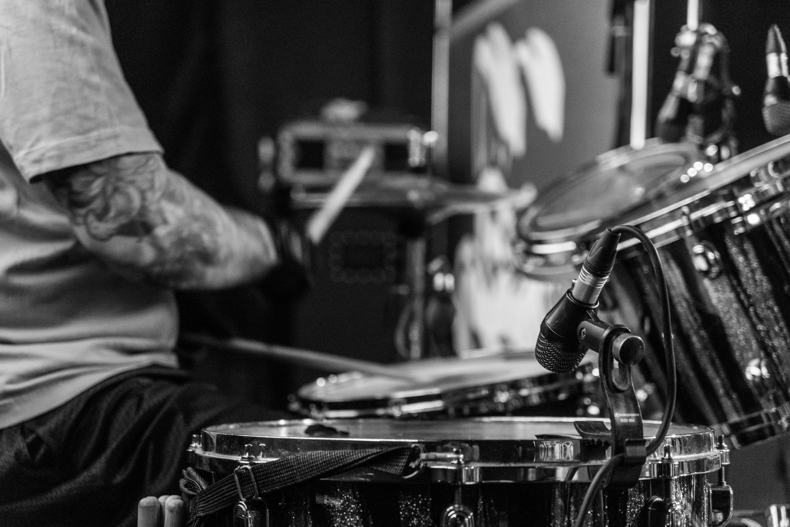 Distamper. Твой фотограф — Полосатый кот