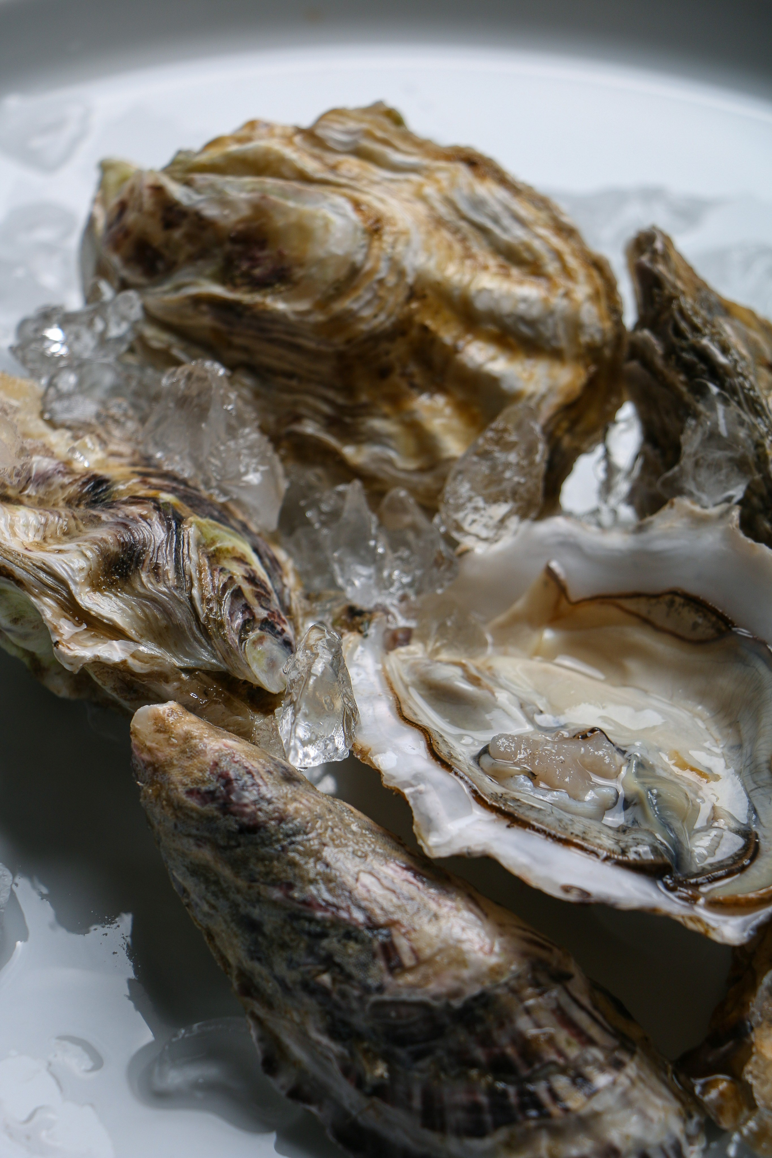 Dolce vita. Контент-фотограф Калининград АНАСТАСИЯ ТКАЧЕВА