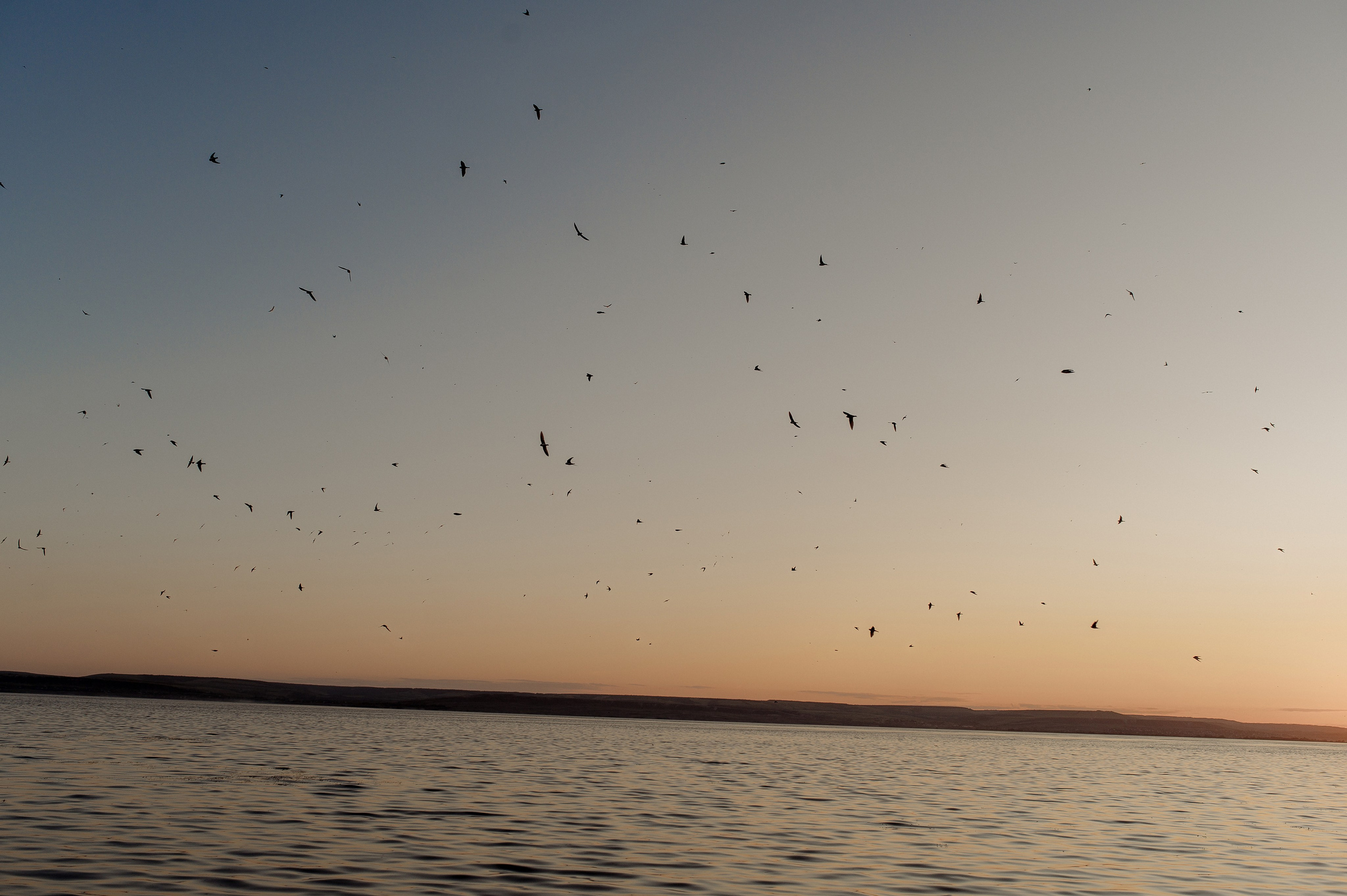 Оля и Илюша. Фотограф Мария Стрелкова