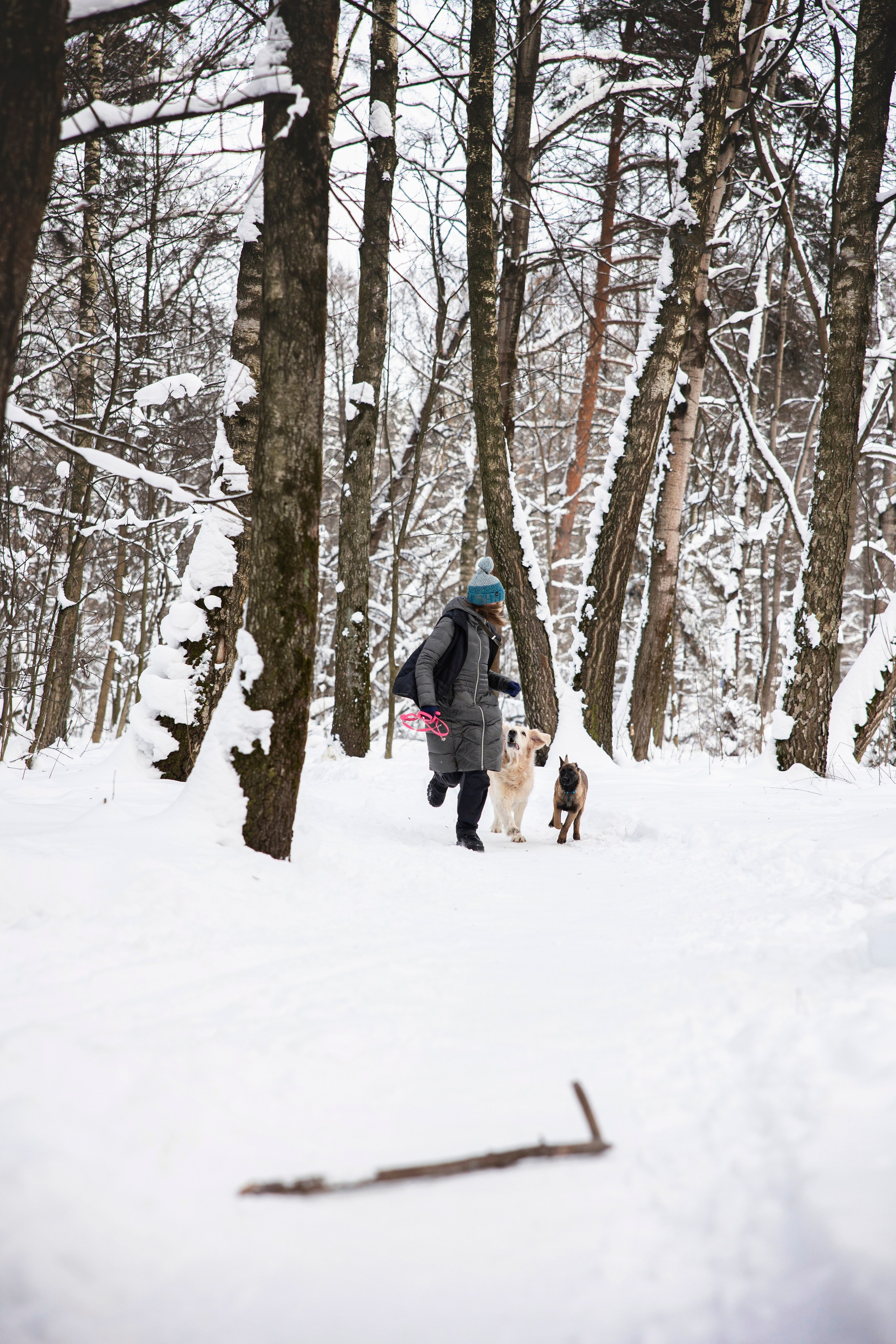 Бэлла и Панда. Анастасия Белаш