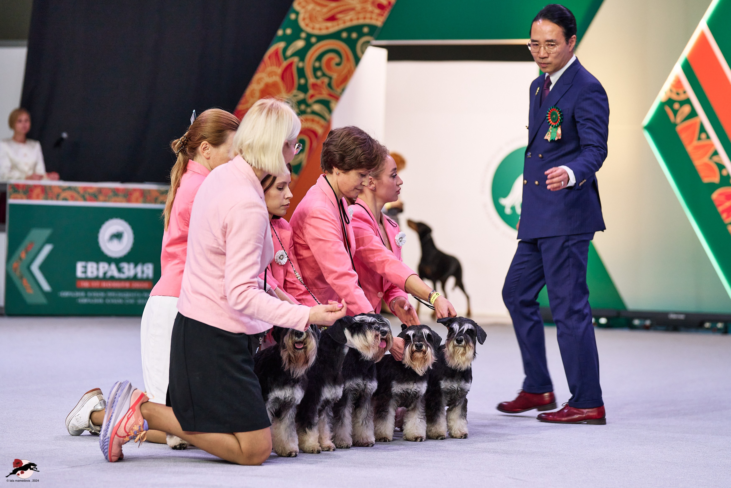 17.11.2024 «ЕВРАЗИЯ. КУБОК СНГ 2024»