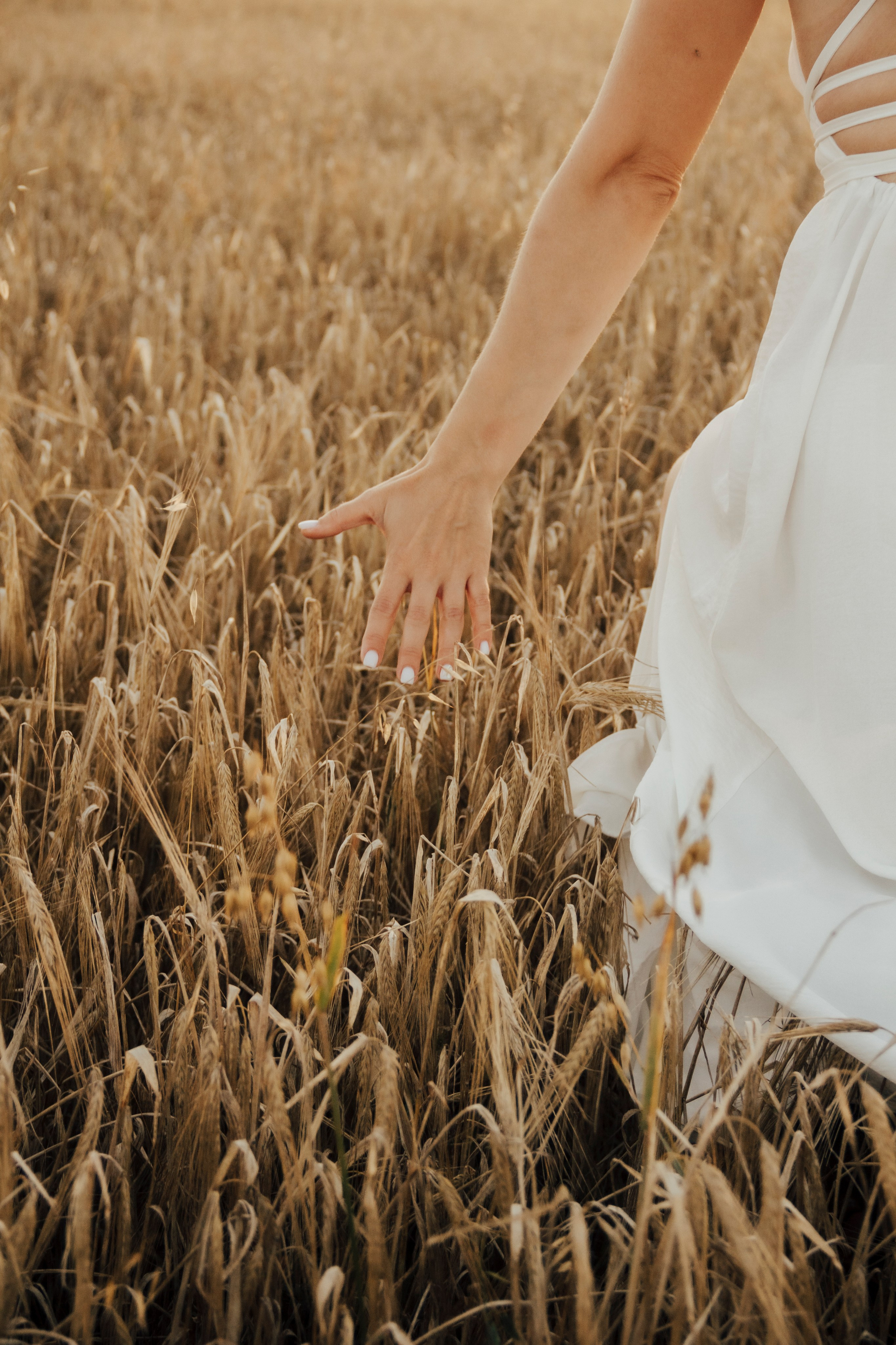 Семейная прогулка. ProFoto