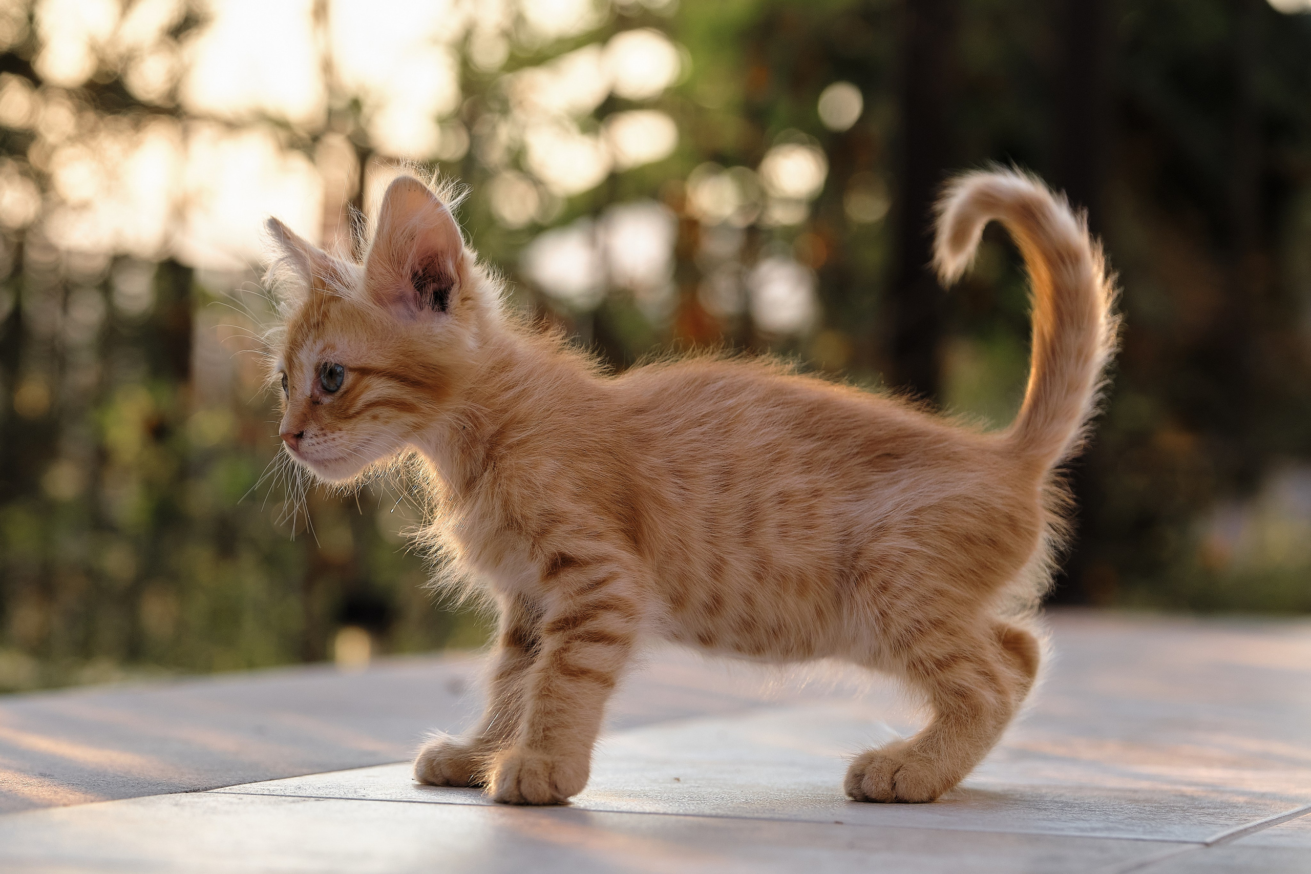 Cyprus > 2023 / kat. Aleksandr Kobtsev