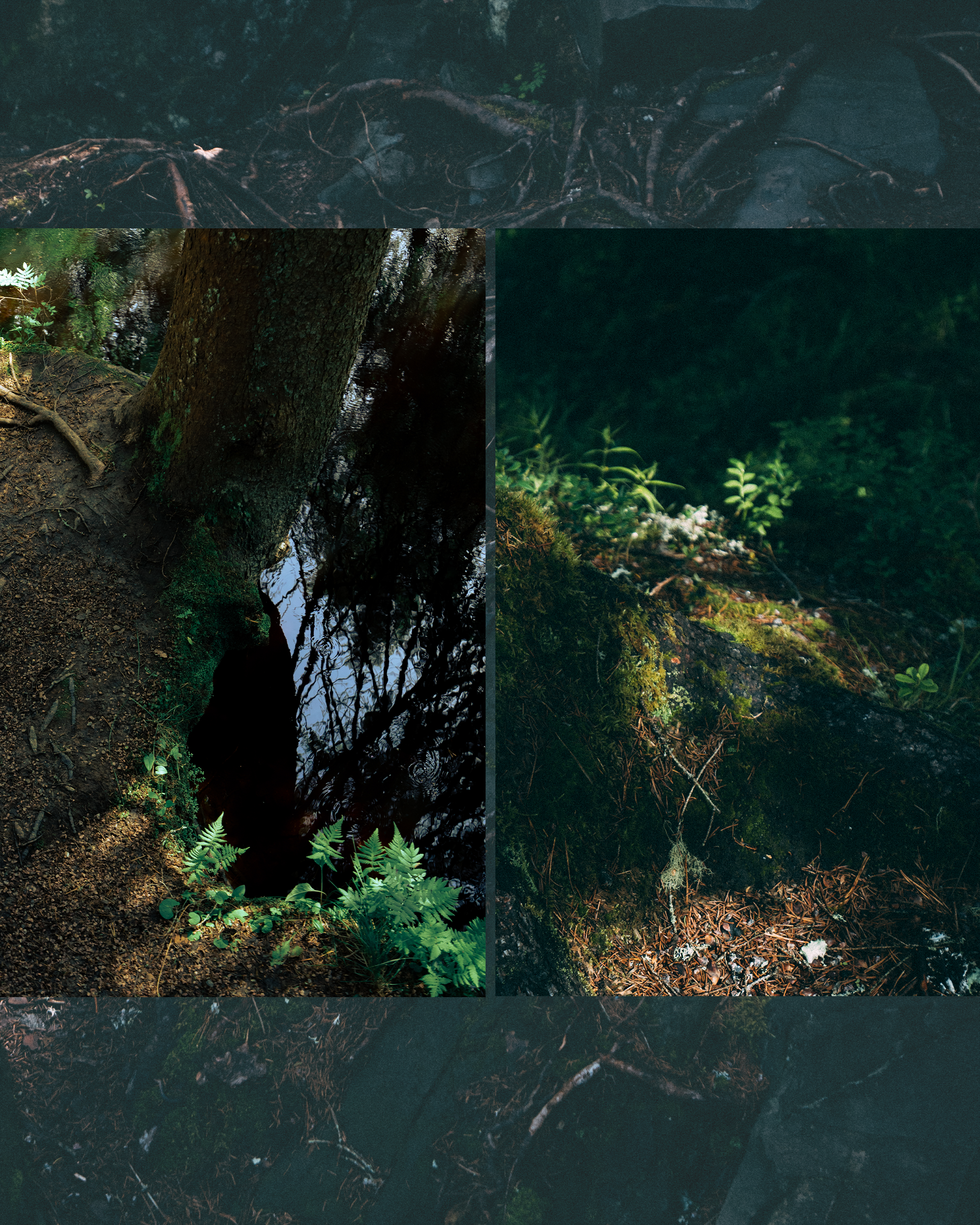 Рускеала. Фотограф Алиса Аспер