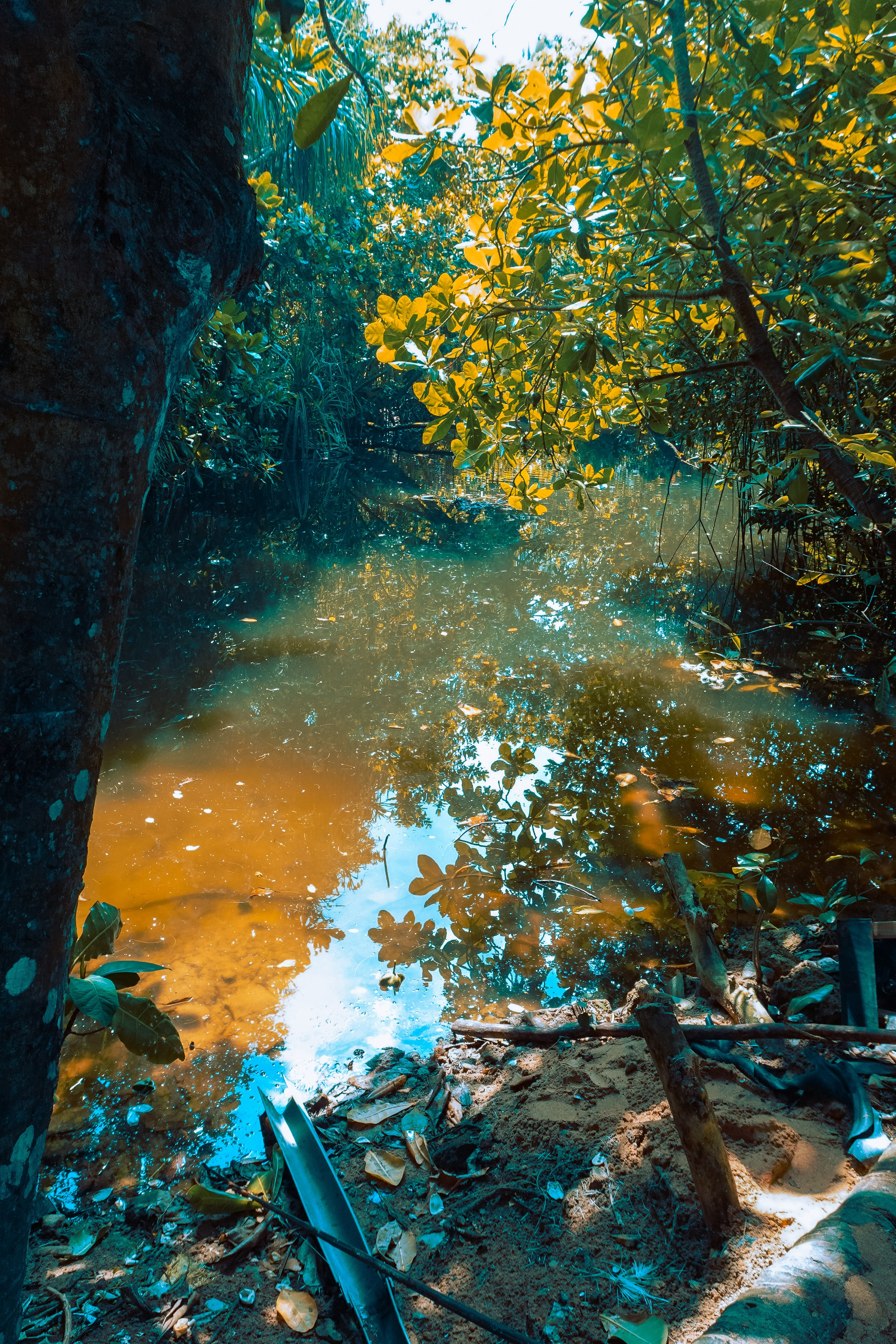 Шри-Ланка. Фотограф Алиса Аспер