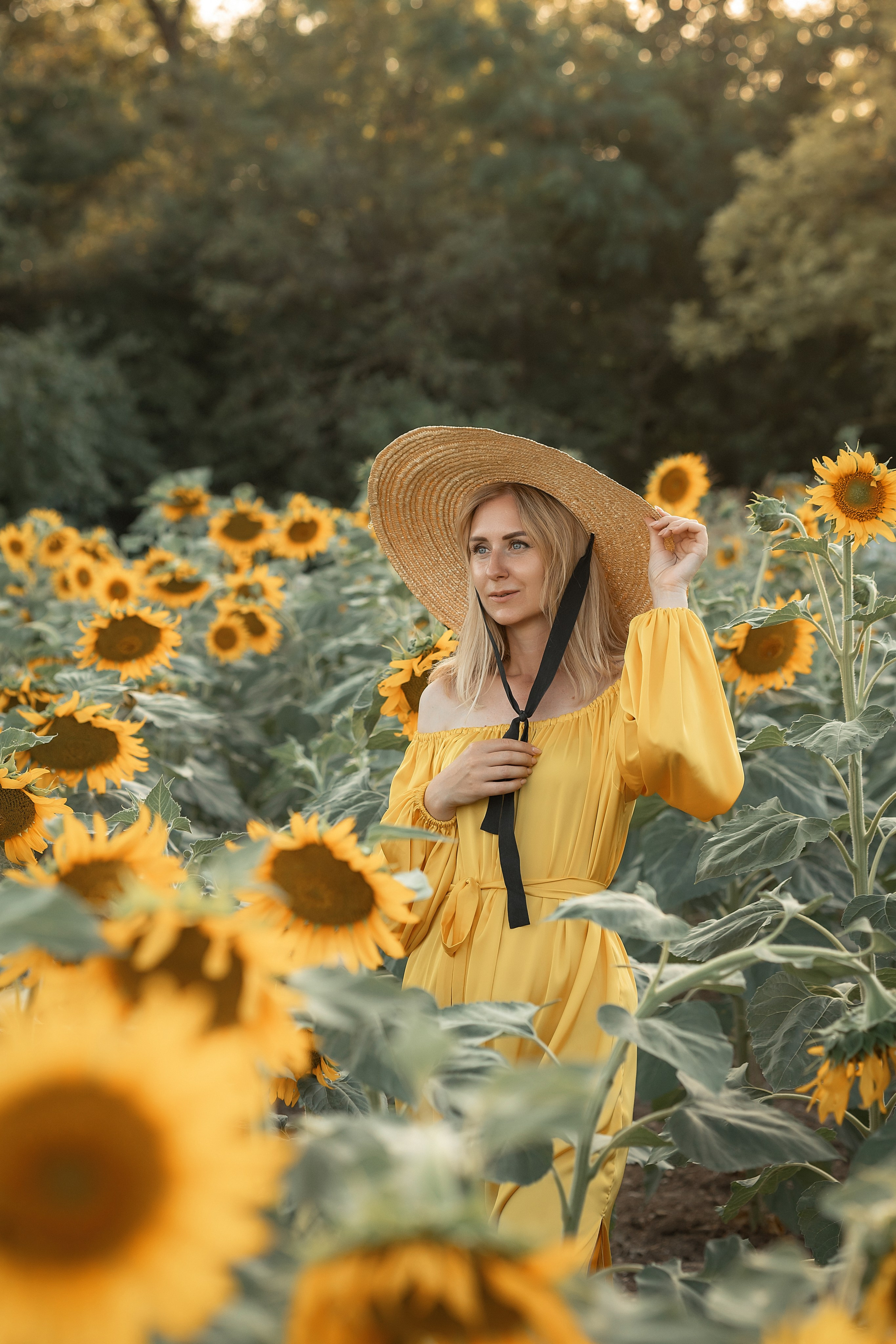 Солнечные подсолнухи. Художественный фотограф Анапа Александра Долбикова