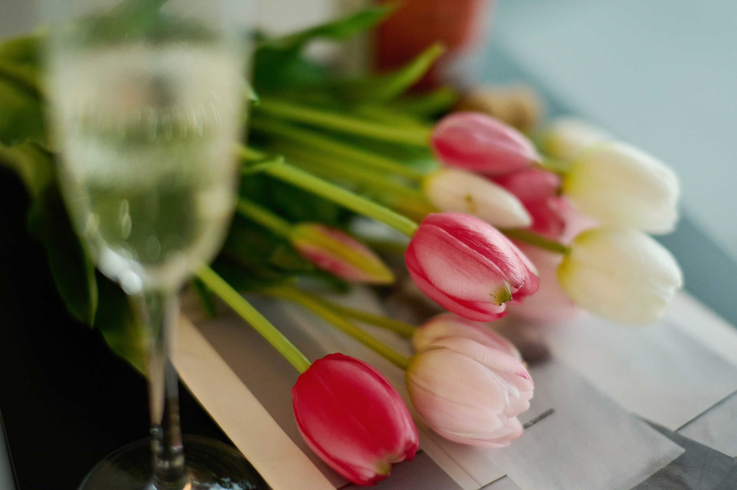 Юлия. Фотограф в Санкт Петербурге Александра Вильдгрубе