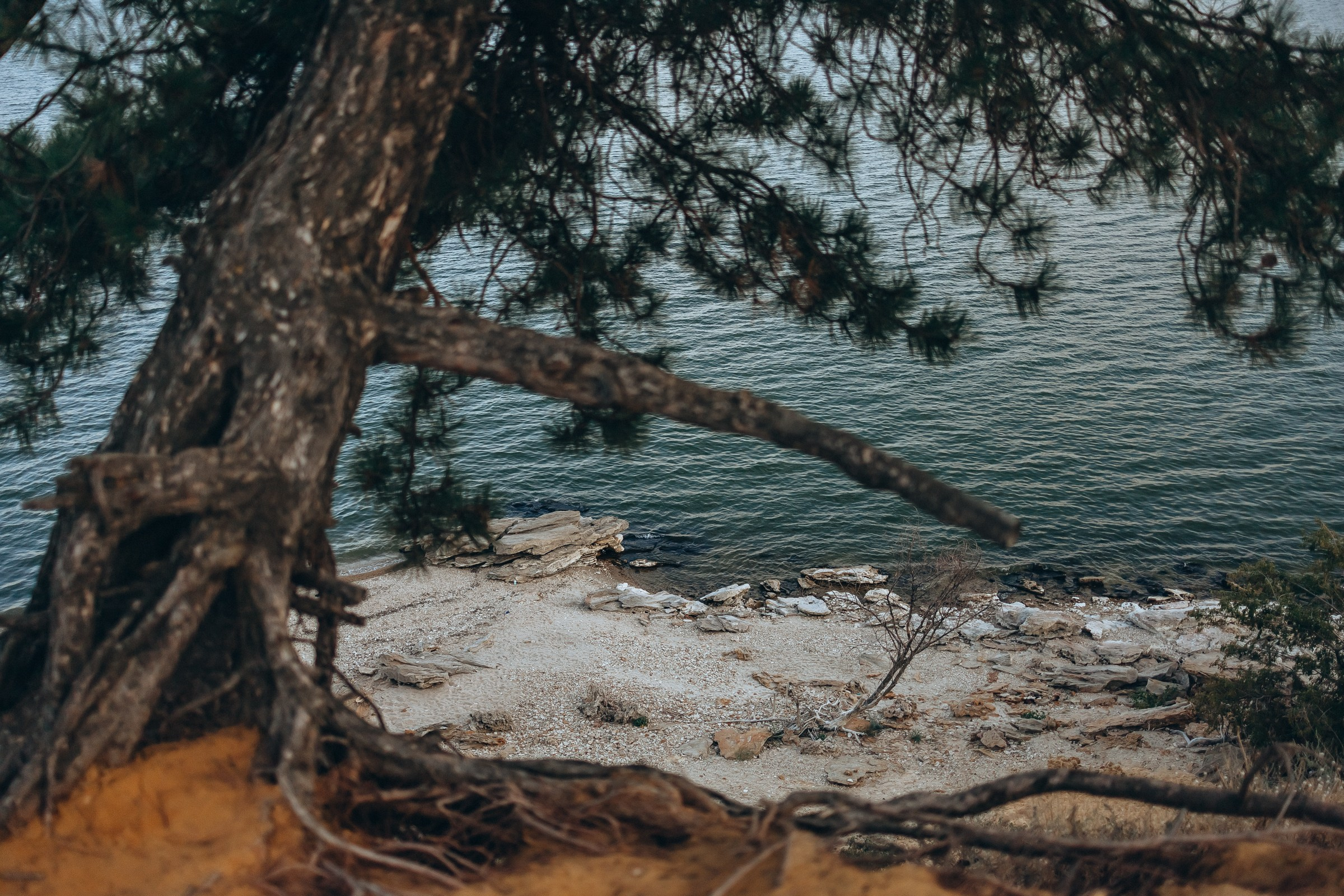 Семейная фотосессия. Семейный фотограф в Волгодонске Краченцева Анна