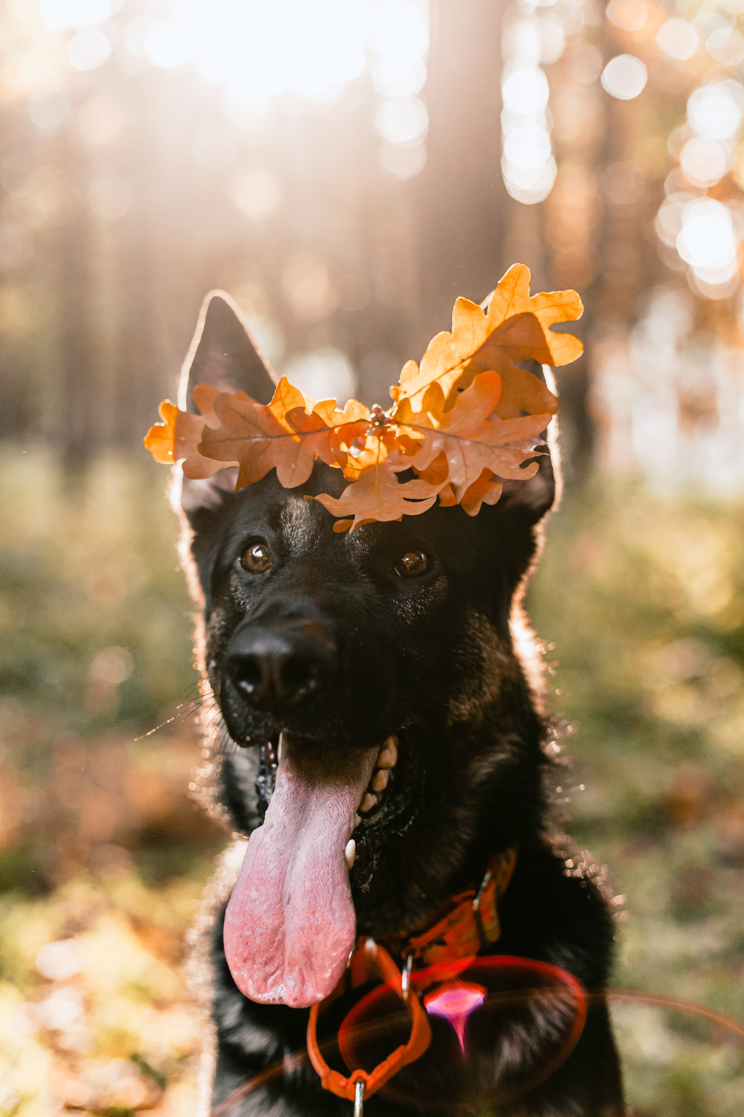 Илай. Фотограф-анималист Татьяна Степанова