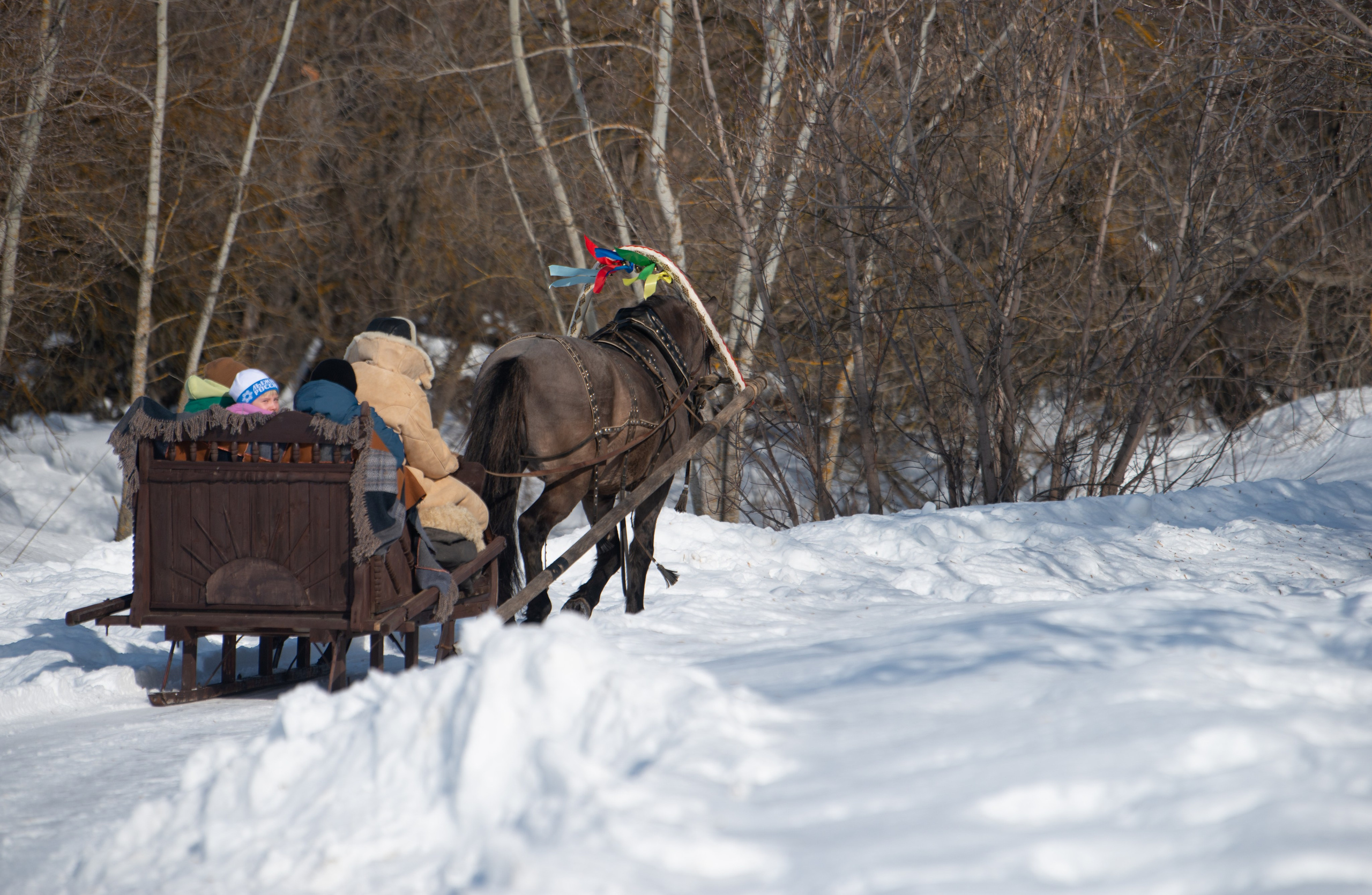 Масленичные гулянья в Боковке. Конный фотограф в Саратове Юлия Иванова