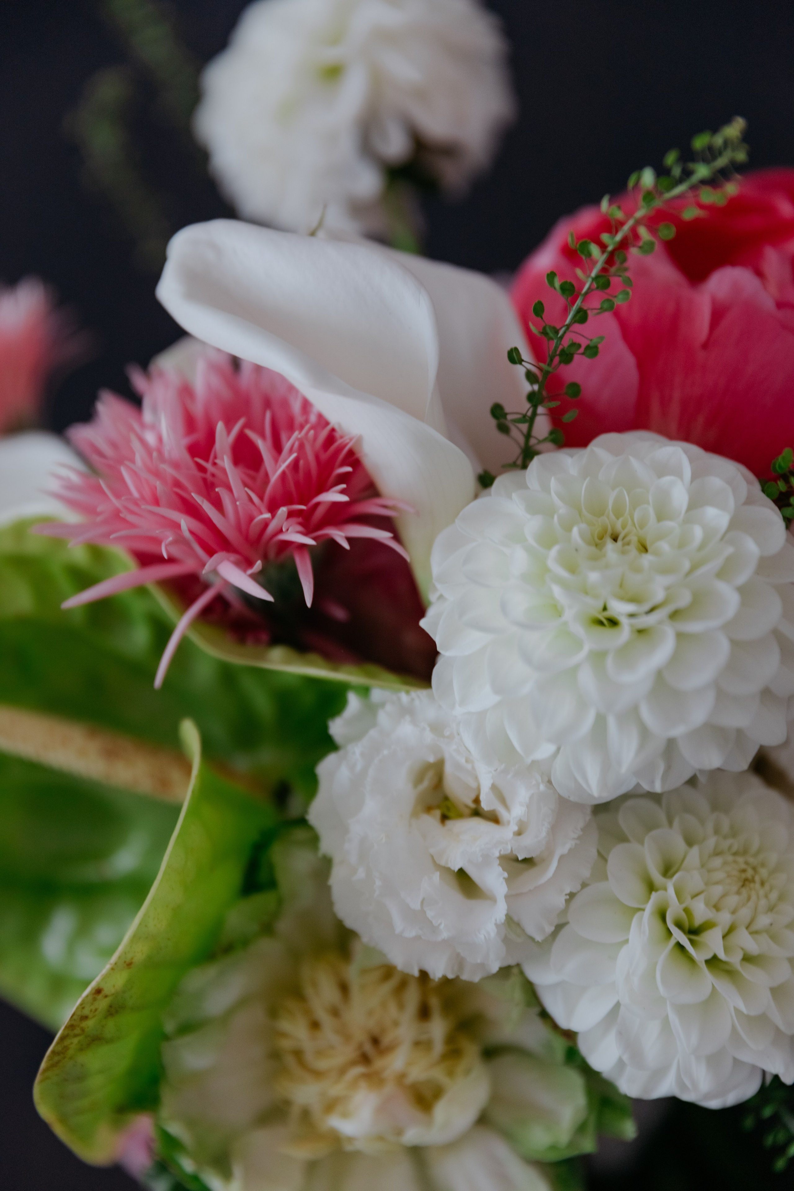 Volevo fare una poesia che non parlasse che di te!. Свадебный и репортажный фотограф в Санкт-Петербурге