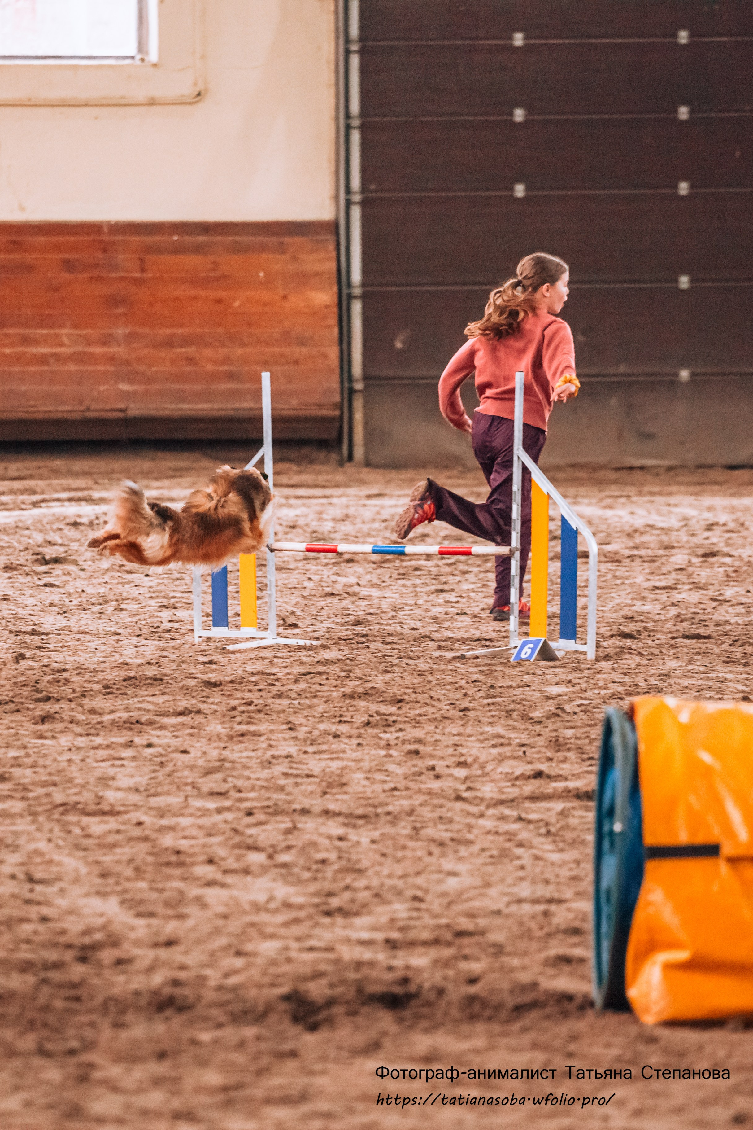 Соревнования по Аджилити 25.02.2024. Фотограф-анималист Татьяна Степанова