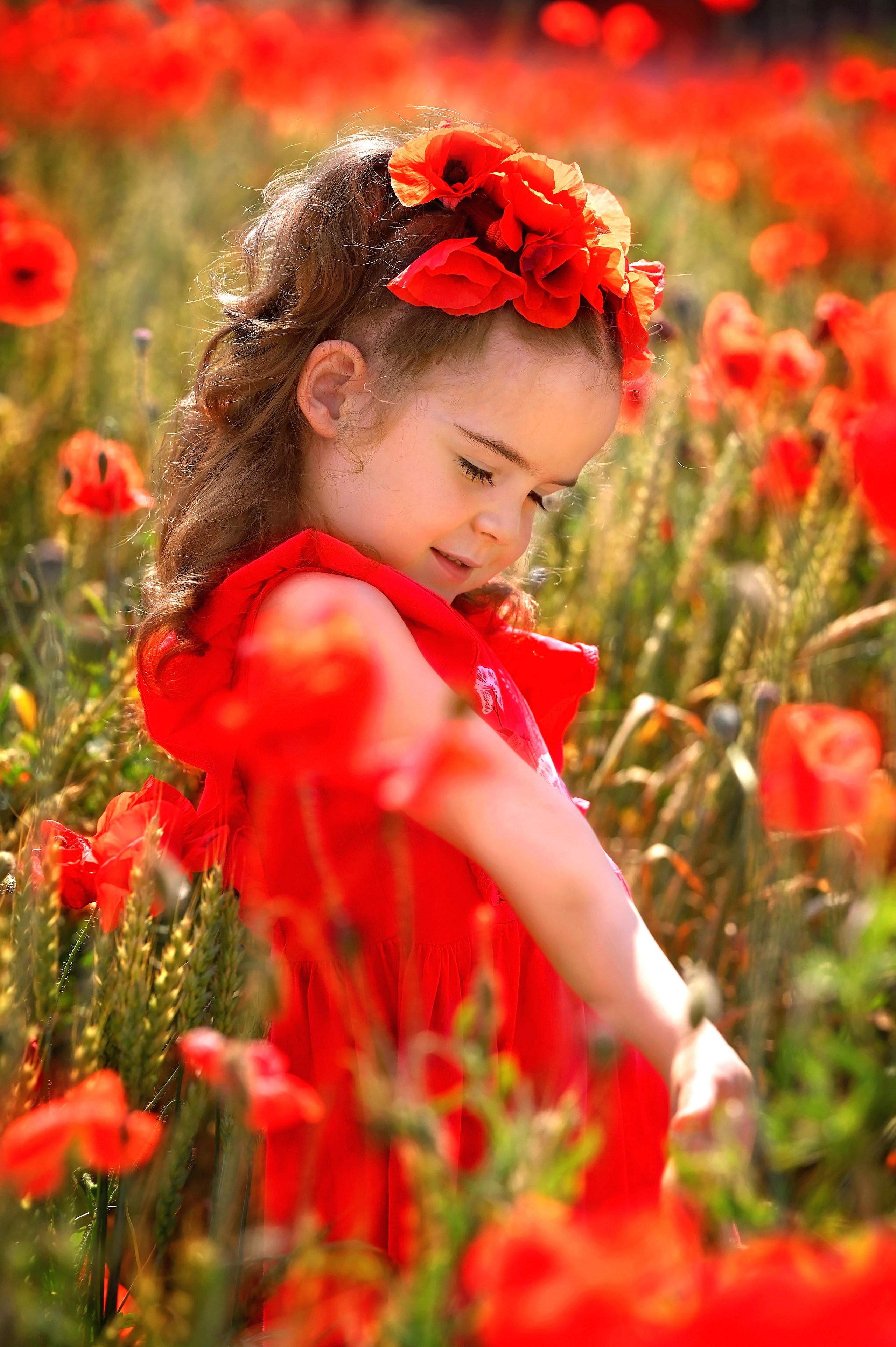 Маки. Ваш фотограф Полина Каткова