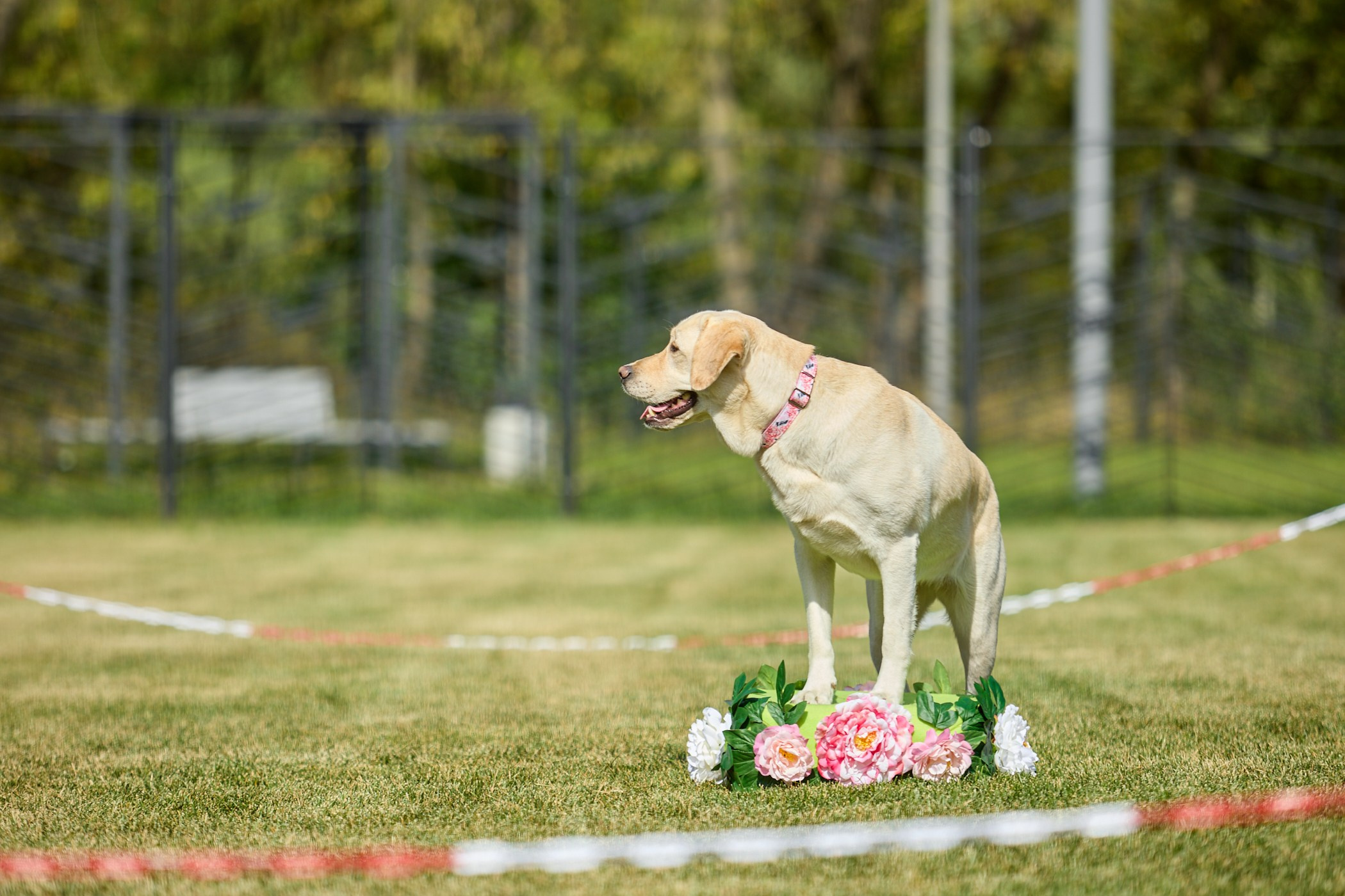 Инклюзивный фестиваль «Три шага к победе». Фотограф Ирина Астор