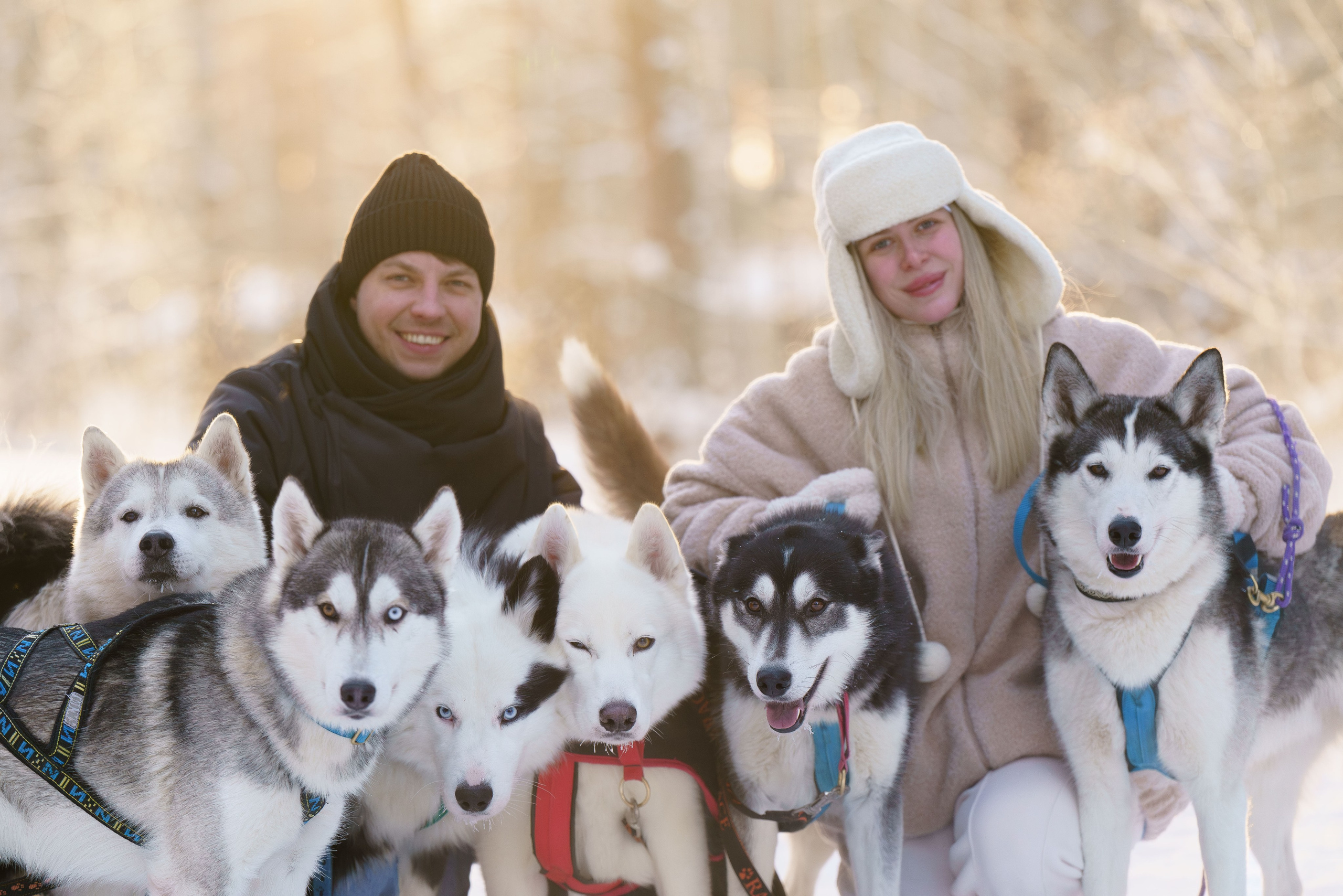 Катания на упряжке. Фотограф-анималист в Санкт-Петербурге