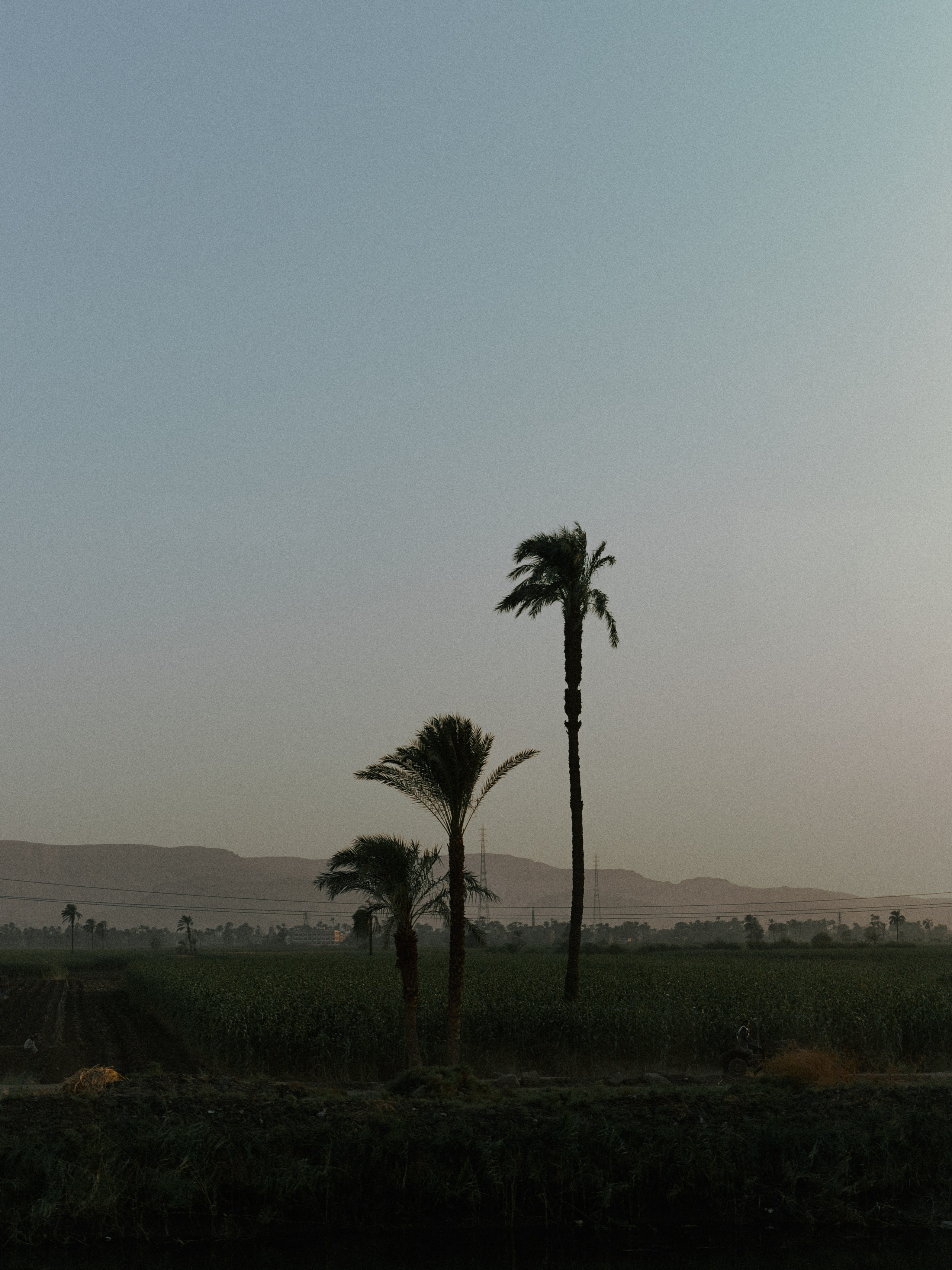 Природа. Jorgis Talè — photographer, kind person, teacher of arts and other mag