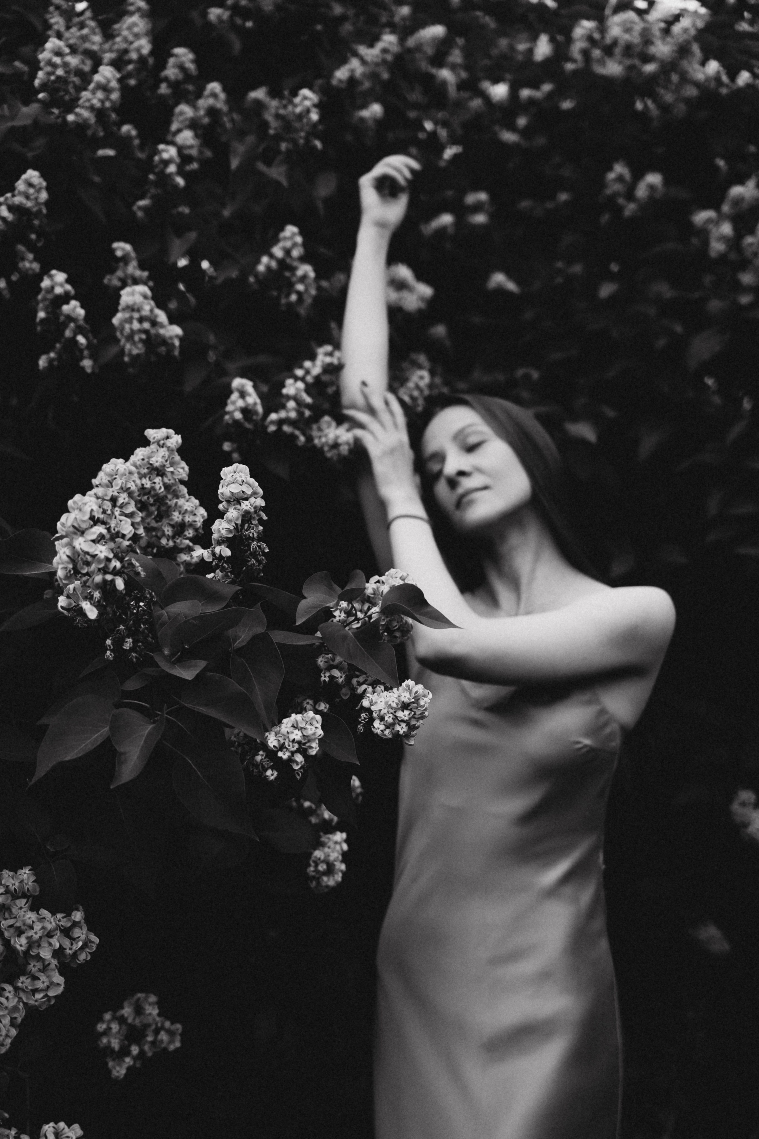 Сиреневый сад. Фотограф Москва