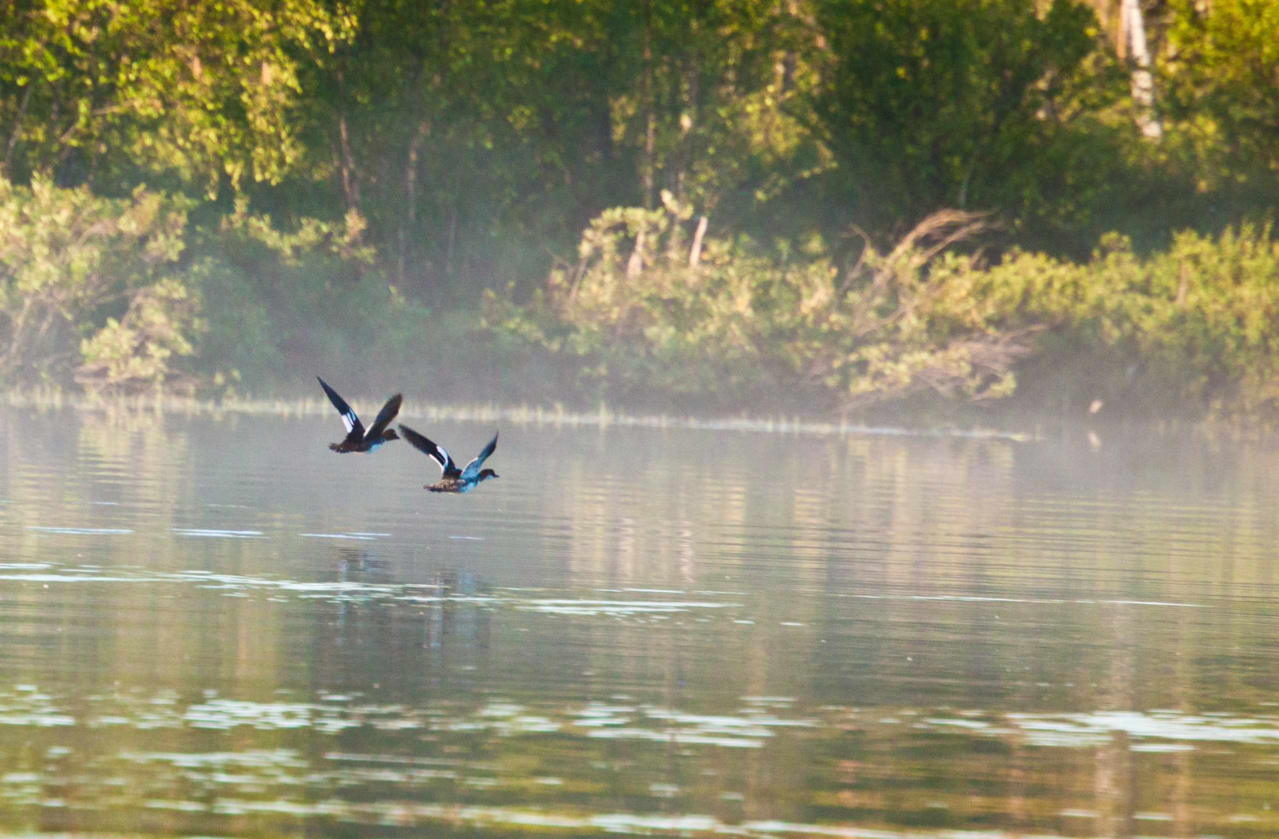 Река Паз. Пейзажи Крайнего Севера. Баренцево море, Рыбачий, Средний, Немецкий