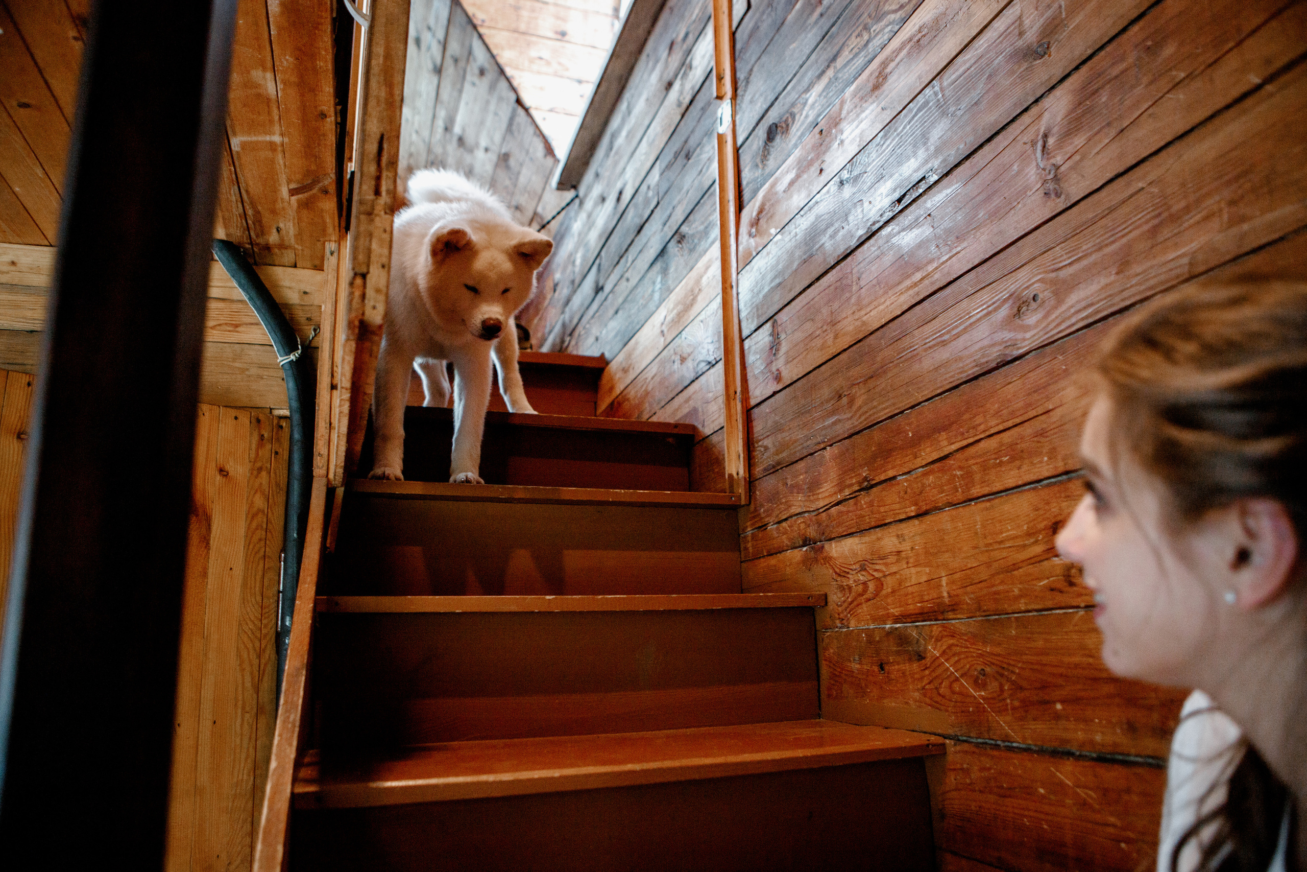 Love story Вова и Катя. Свадебный и семейный фотограф Ибрагимова Мария из Екатеринбурга