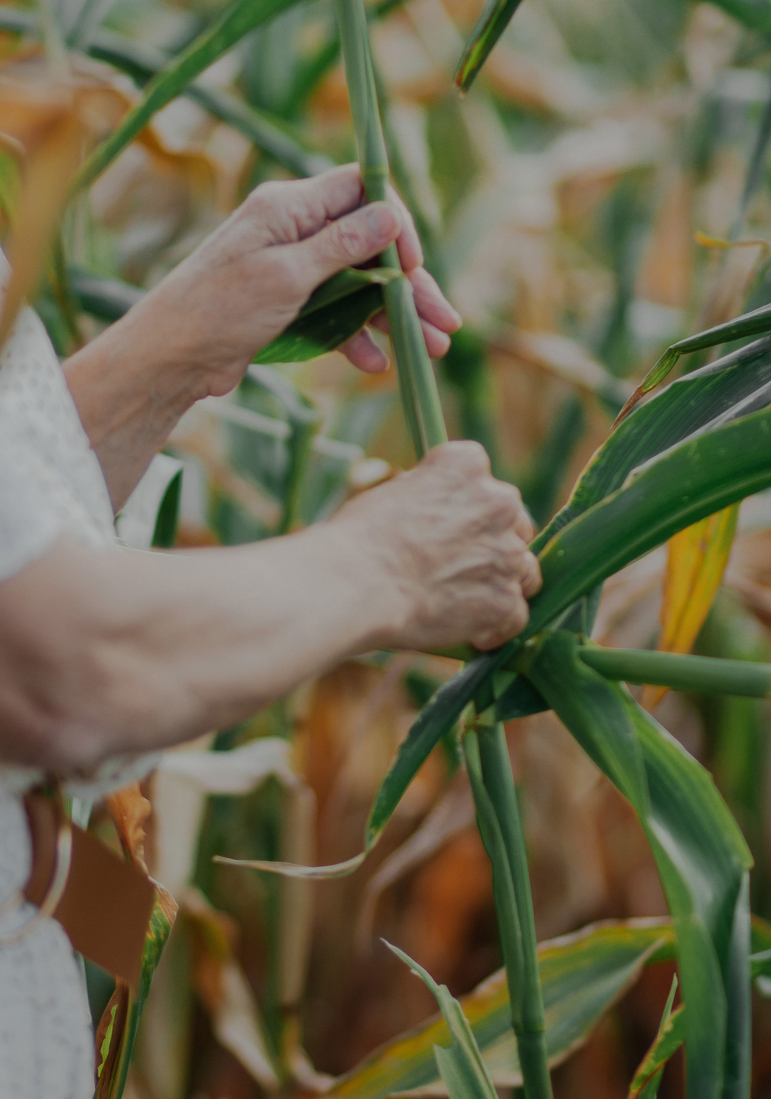 Семейная фотосессия природа. Свадебный и семейный фотограф Ибрагимова Мария из Екатеринбурга