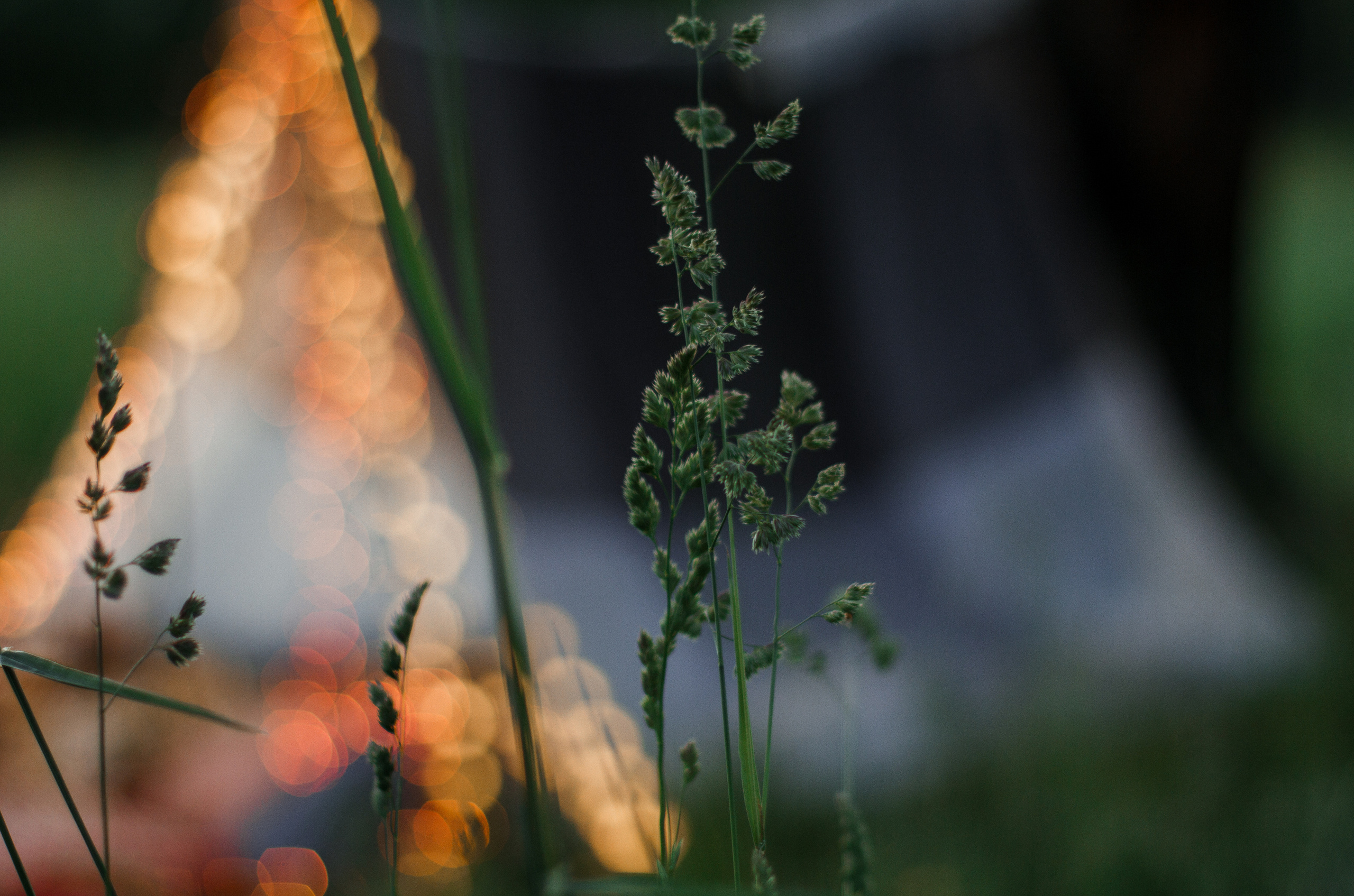 Love story Марко и Мари. Свадебный и семейный фотограф Ибрагимова Мария из Екатеринбурга