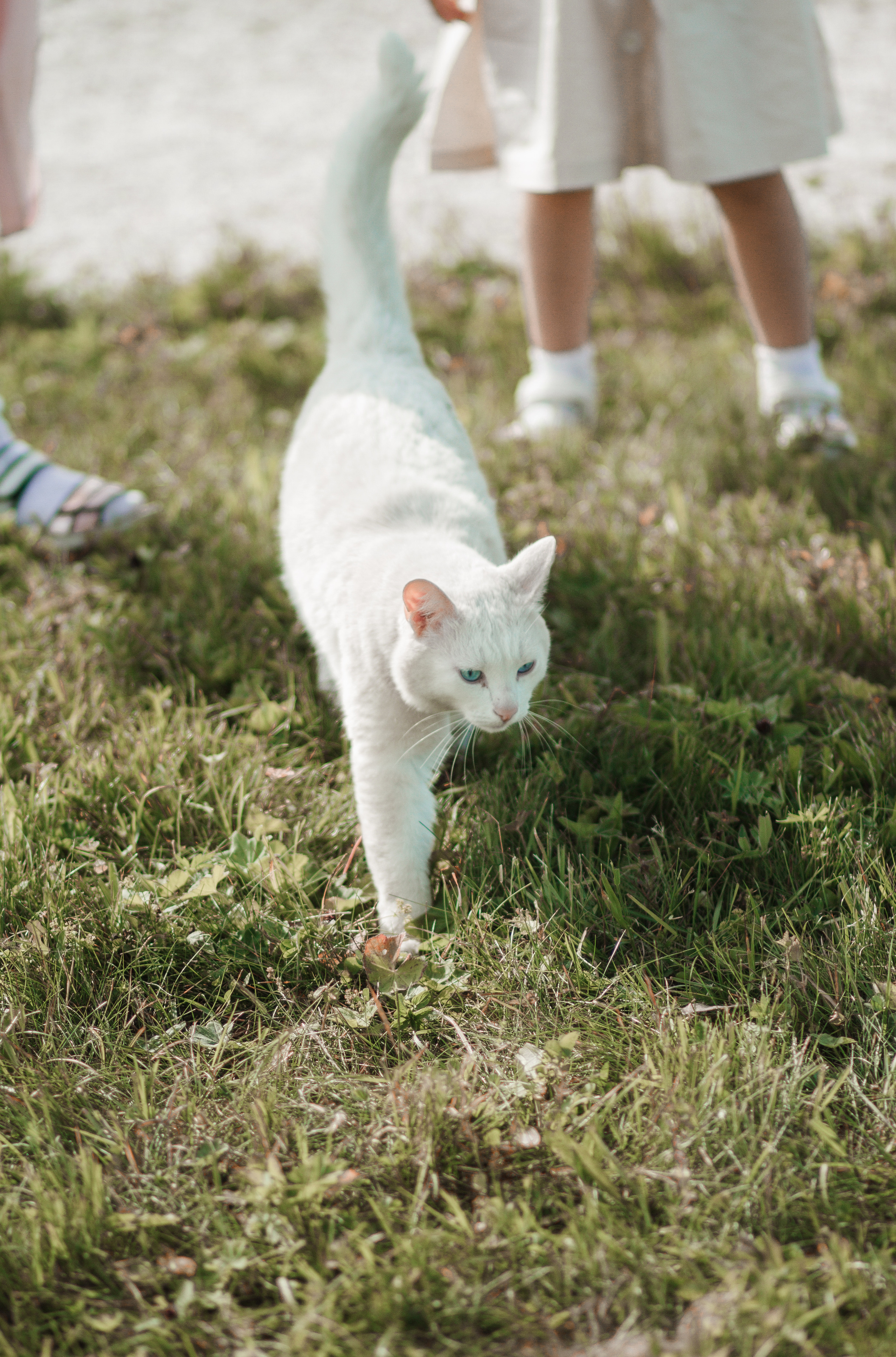 Семейная фотосессия прогулка. Свадебный и семейный фотограф Ибрагимова Мария из Екатеринбурга