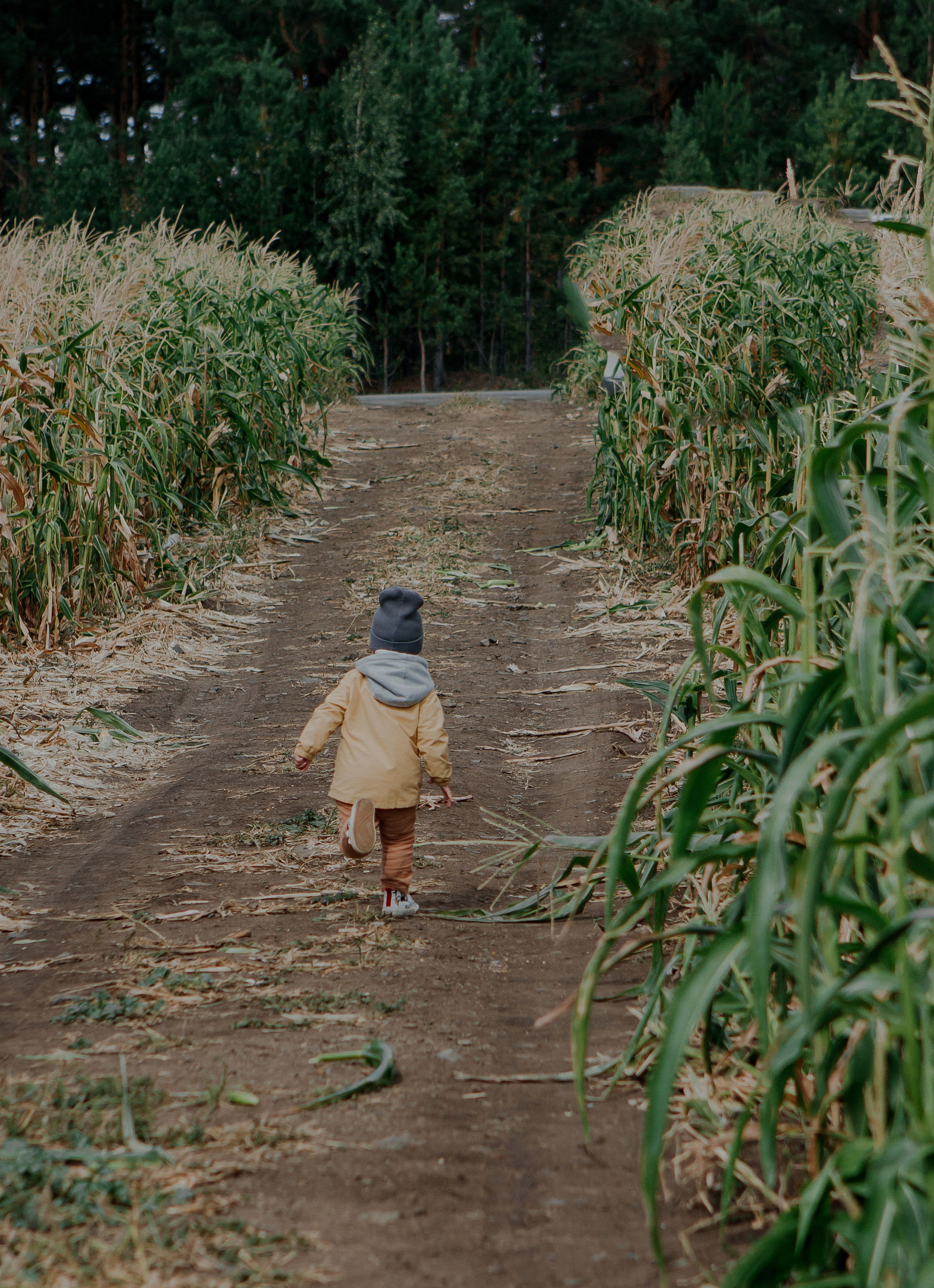 Семейная фотосессия природа. Свадебный и семейный фотограф Ибрагимова Мария из Екатеринбурга