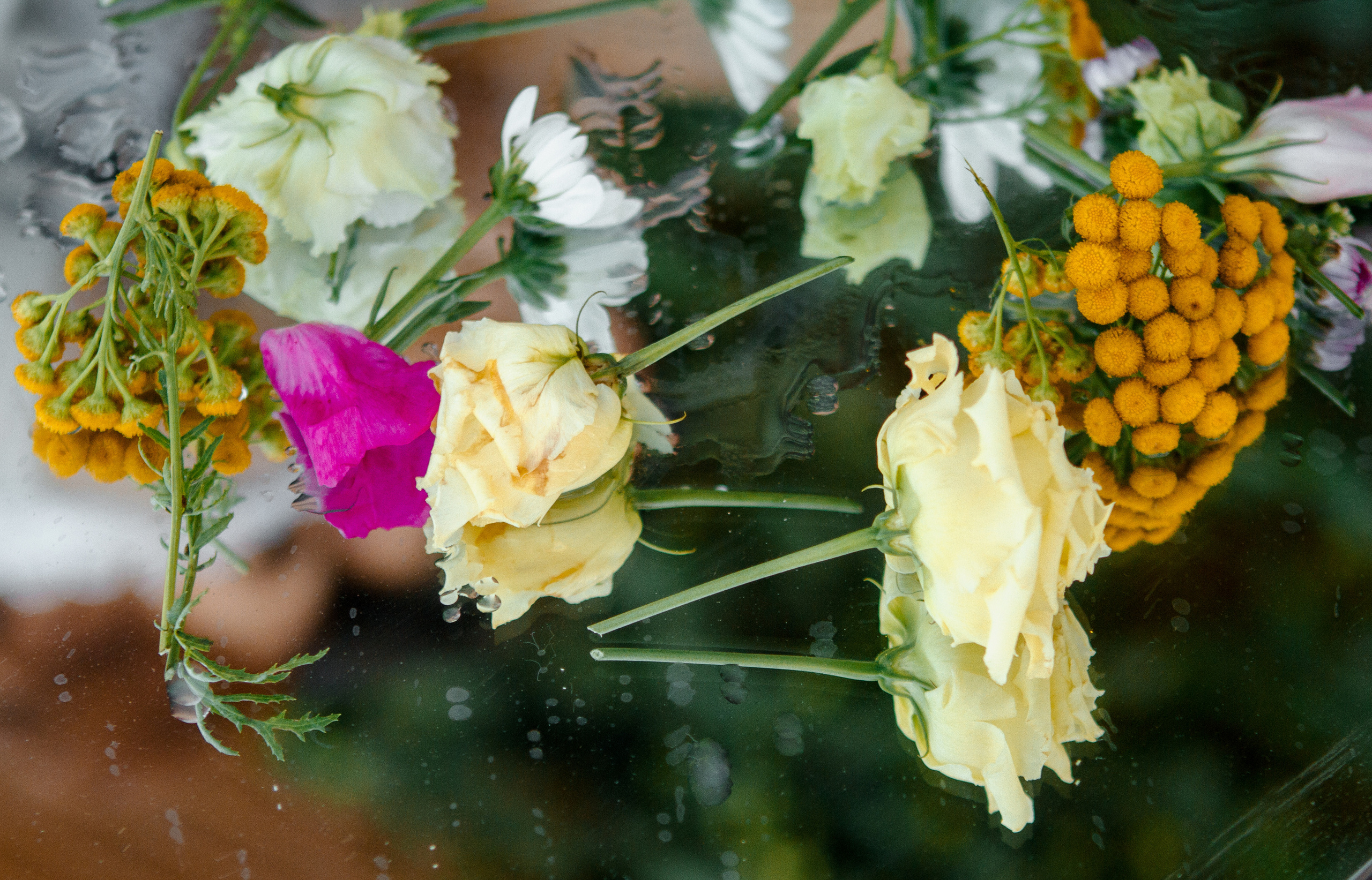 Доброе Утро. Свадебный и семейный фотограф Ибрагимова Мария из Екатеринбурга