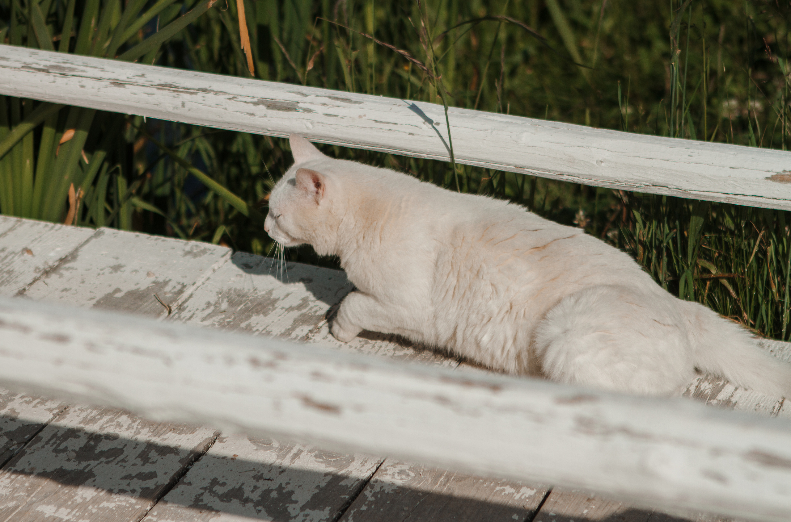 Семейная фотосессия прогулка. Свадебный и семейный фотограф Ибрагимова Мария из Екатеринбурга