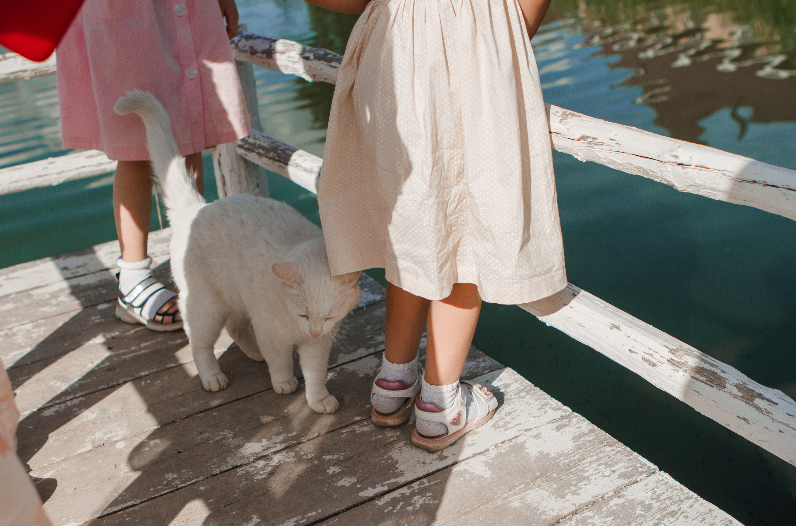 Семейная фотосессия прогулка. Свадебный и семейный фотограф Ибрагимова Мария из Екатеринбурга