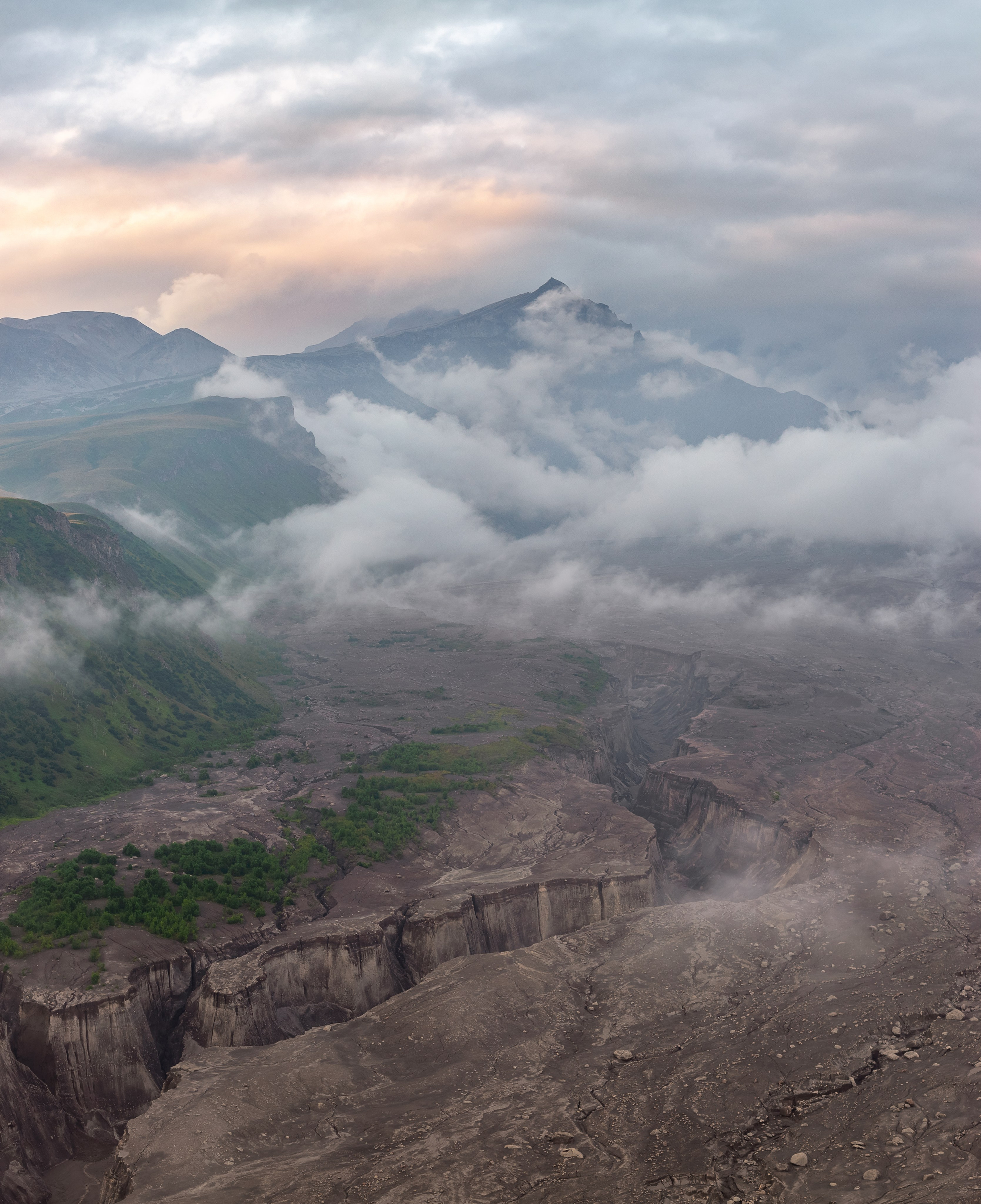 Портфолио. Daria wanderer photography