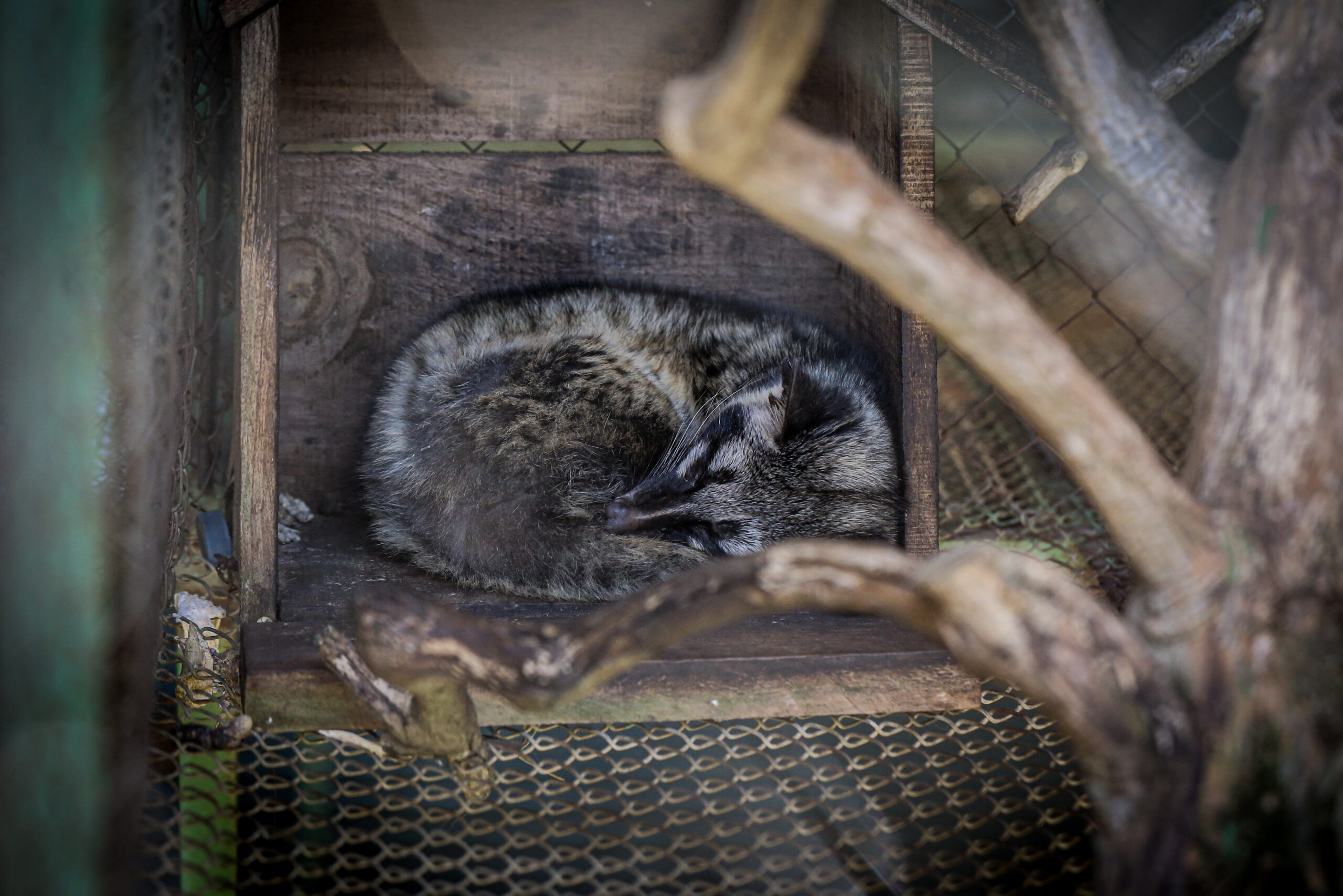 Landscape. Noam Paradise Photographer