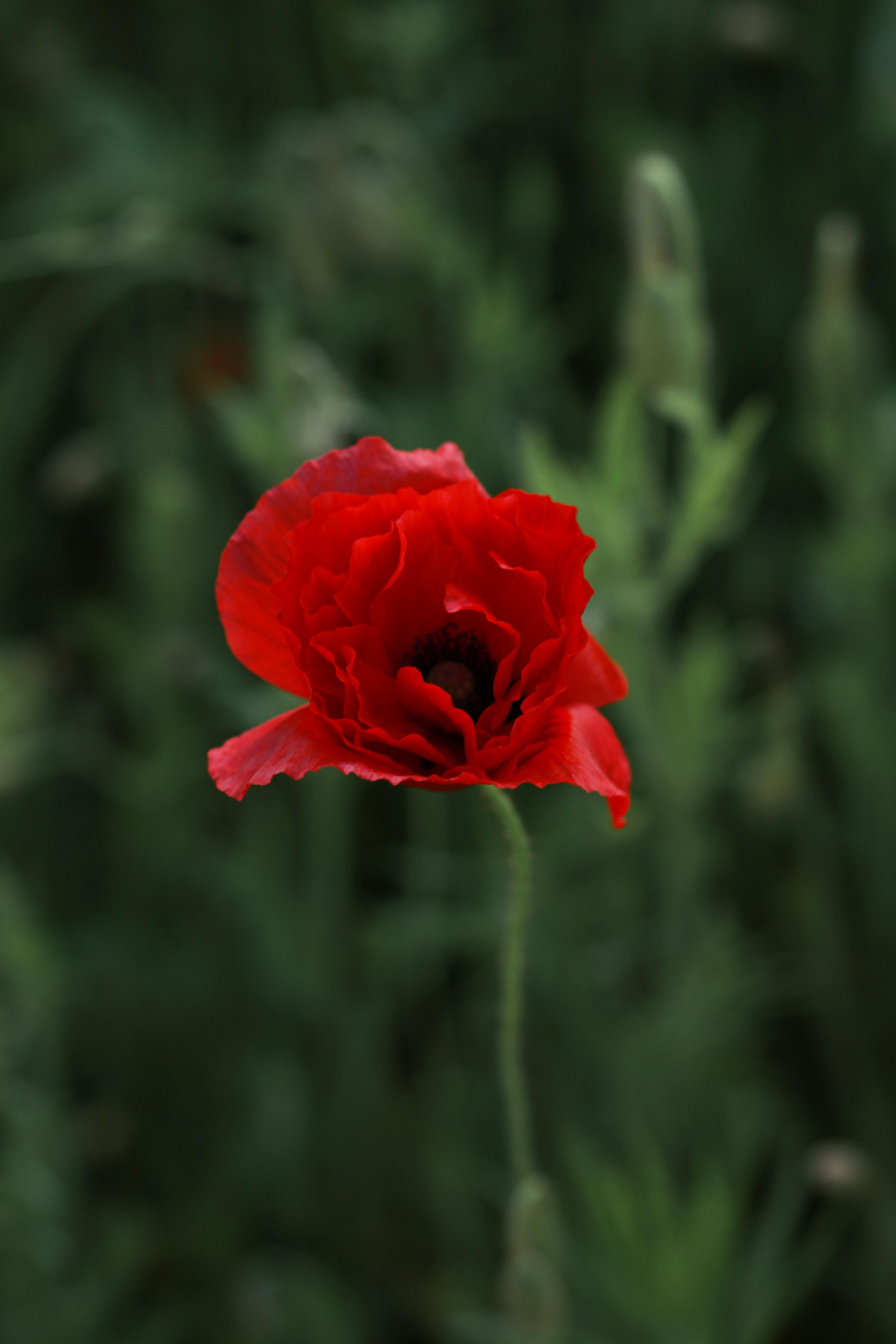Блог о важном. Свадебный и семейный фотограф в Рязани Анастасия