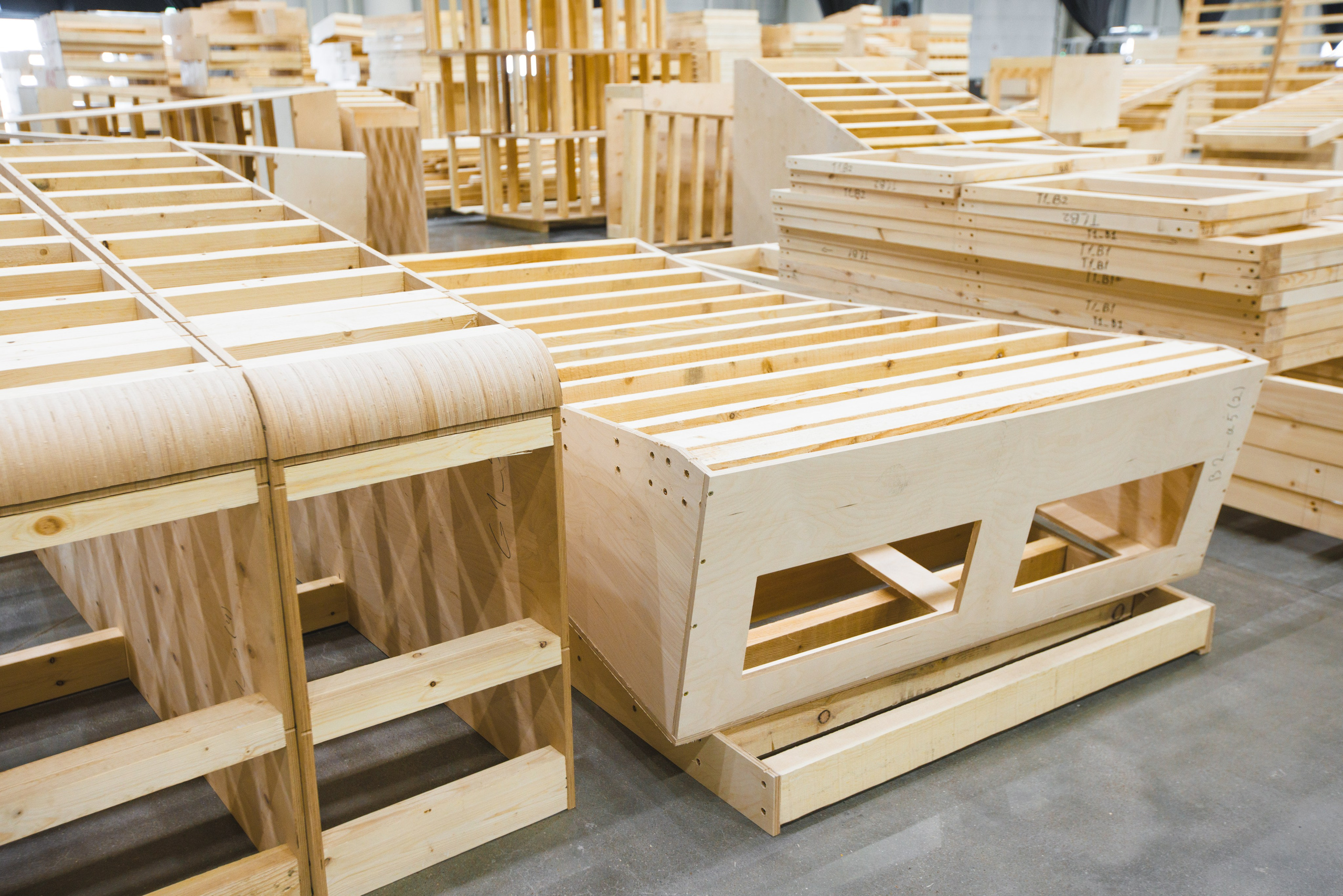 Random photo roulette. Bivol images