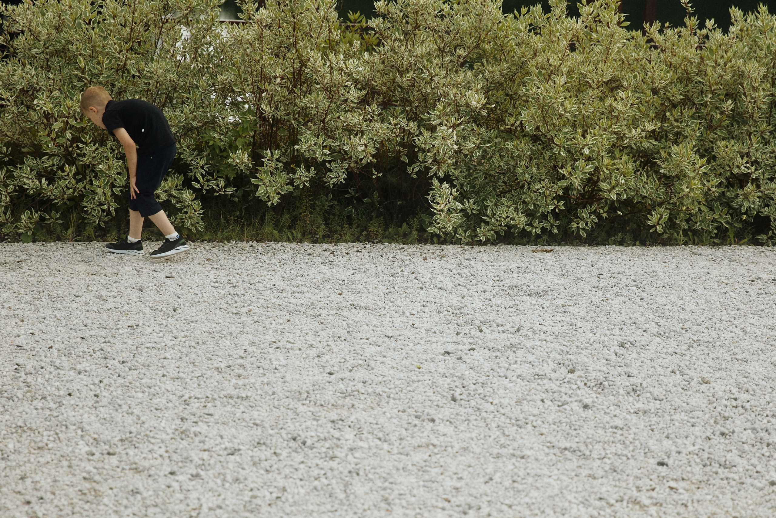 ALL IN ON LOVE. Дмитрий Мазуркевич: Профессиональный Репортажный Фотограф