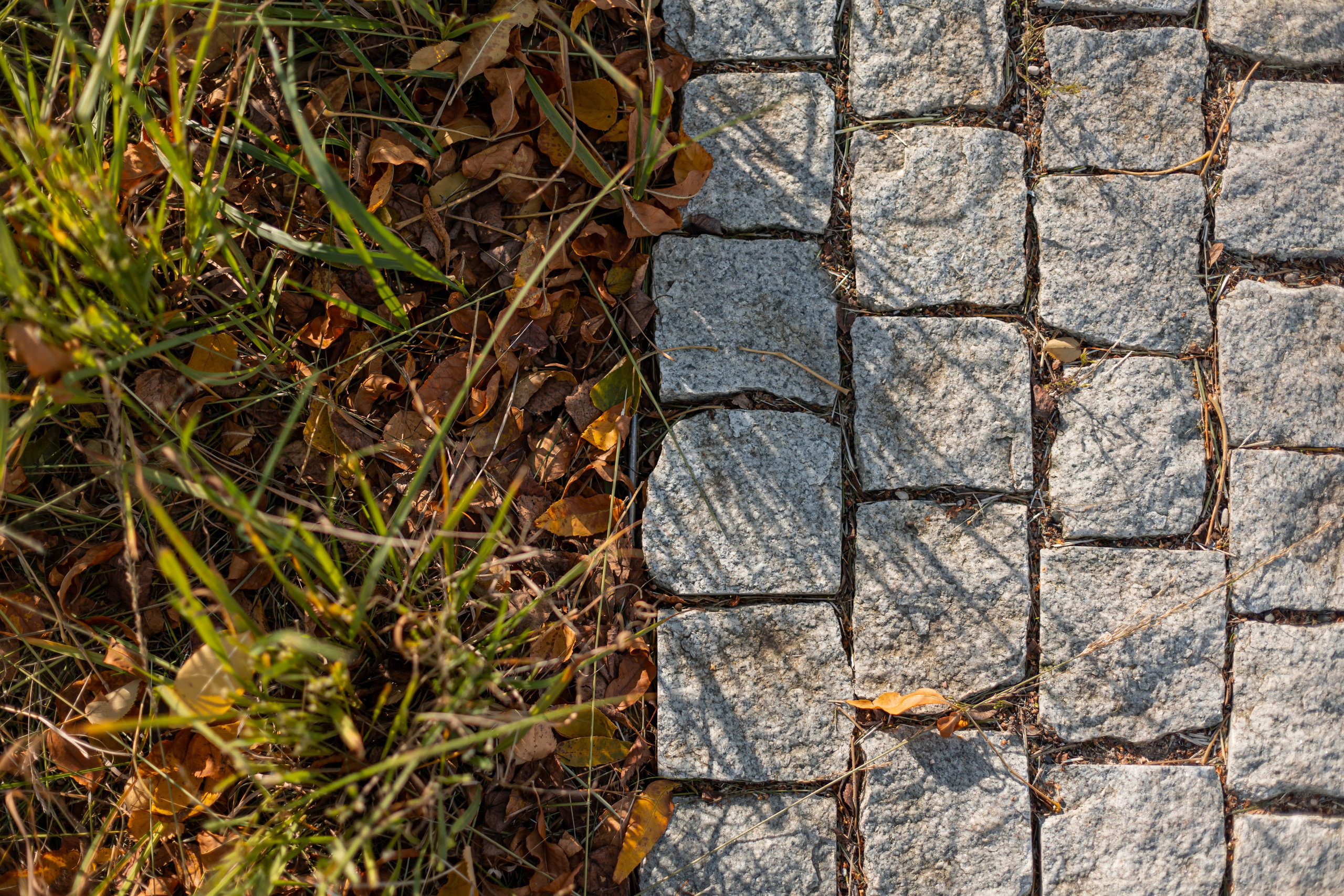 Общественные пространства. Наталья Летунова — интерьерный фотограф в Иванове