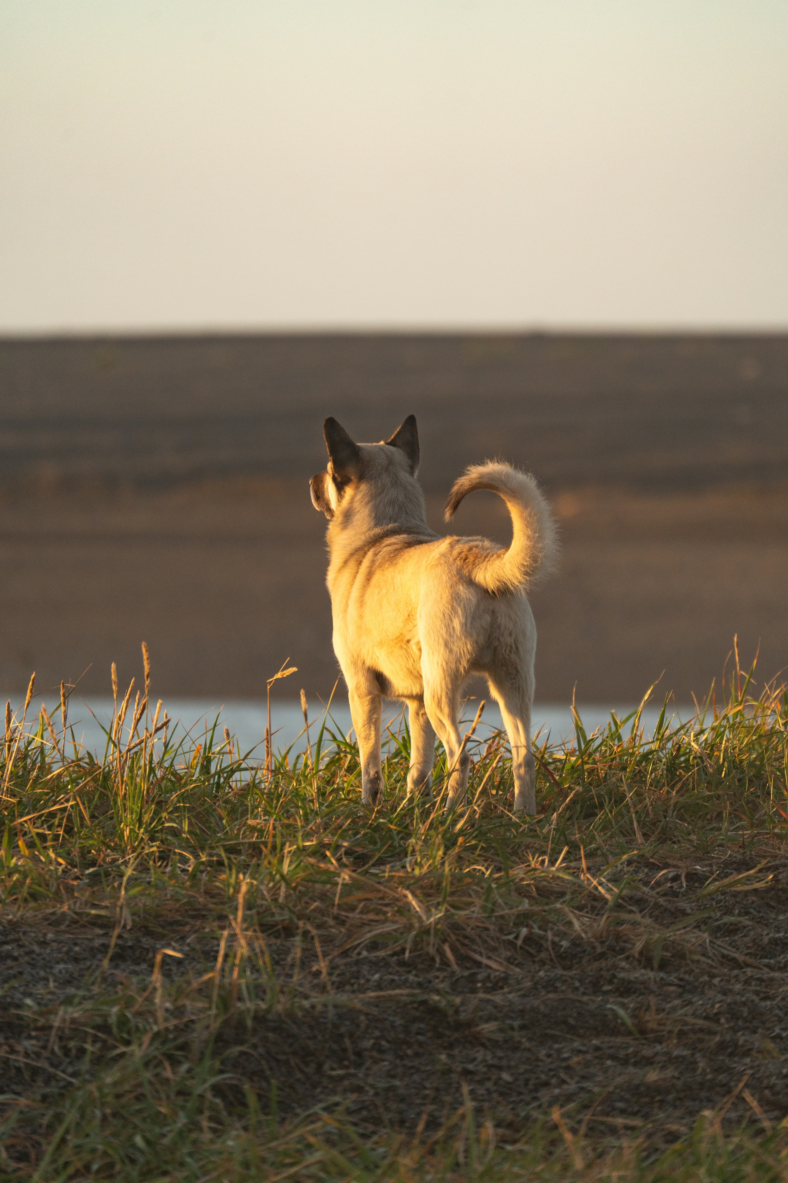 Чукотка. Gusarov Travel Photography