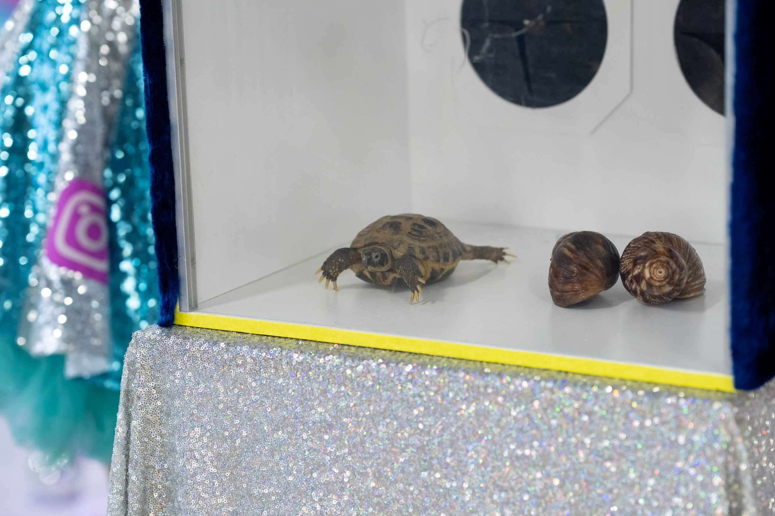 Tik Tok вечеринка. Фотограф в Одинцово, Москве