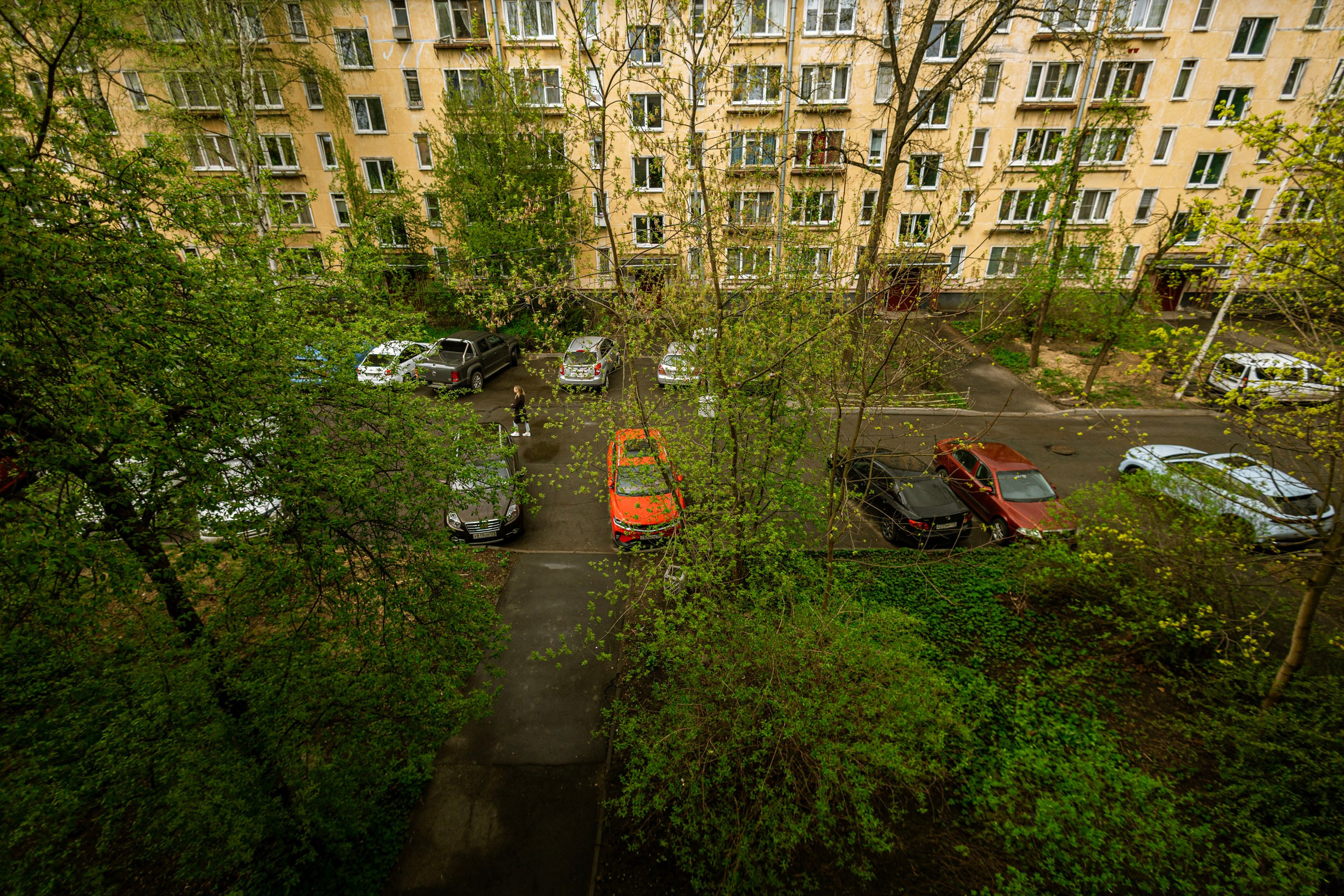 После дождя. Самид Али, фотограф из Санкт-Петербурга, Россия