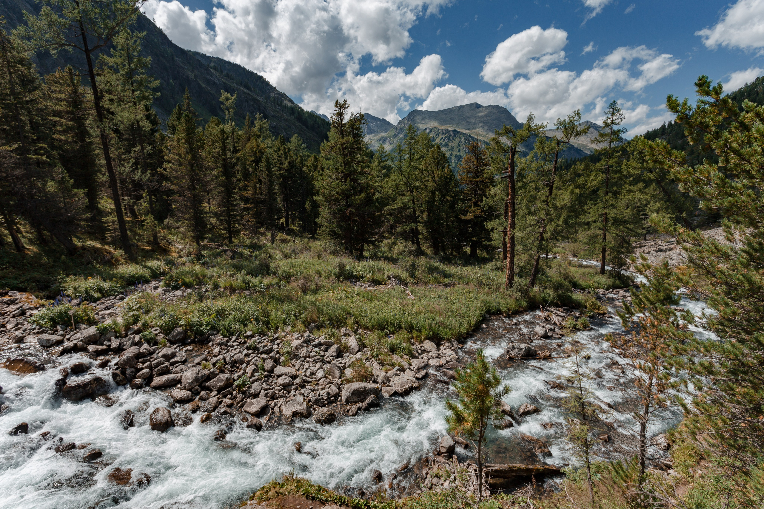 Катунский заповедник, Республика Алтай. Репортажный фотограф в Крыму Ксения Гасица