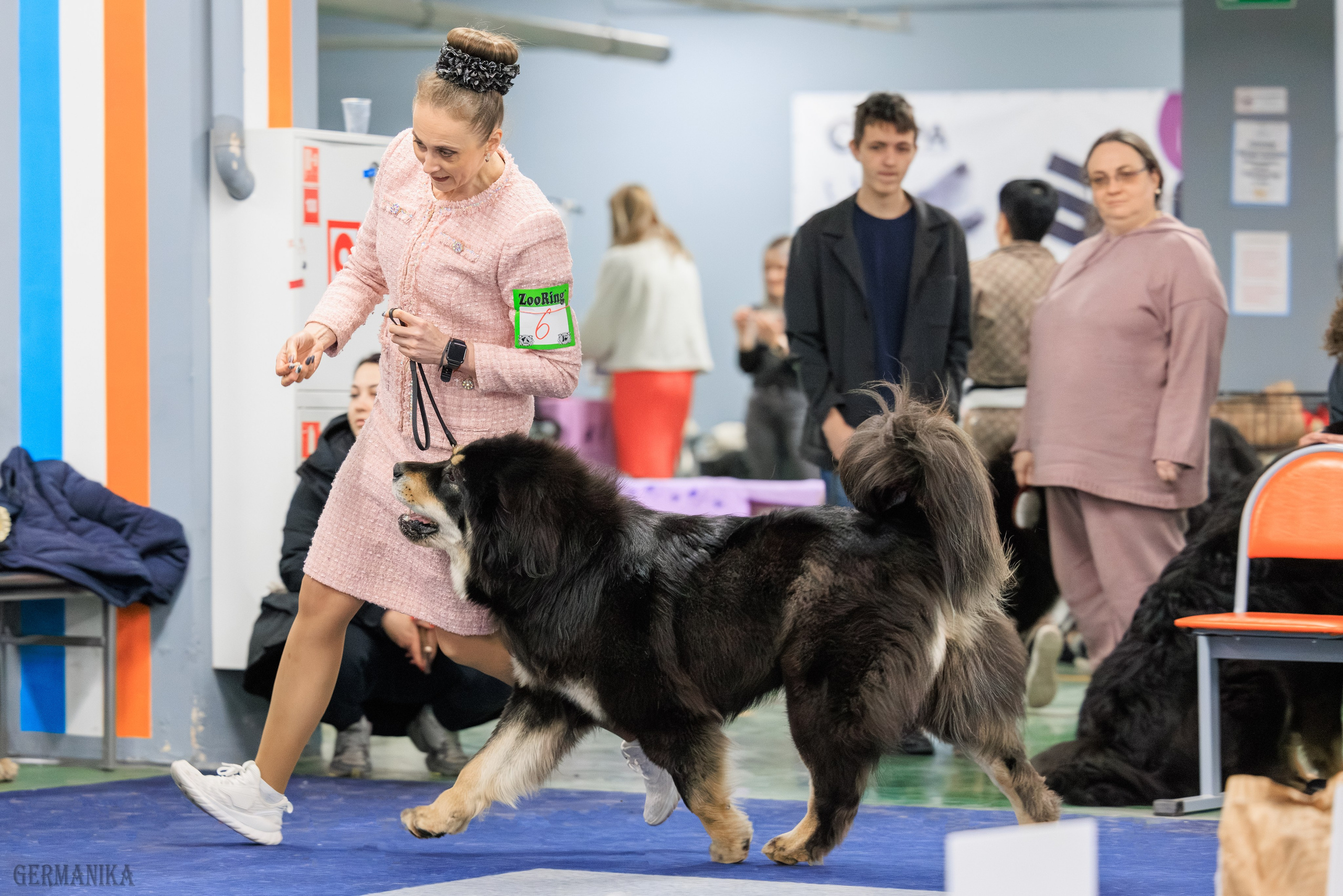 Сфера 08 и 10.03.2024 2хмоно ротвейлеров+2хмоно сао. Фотограф-анималист Юлия Германика