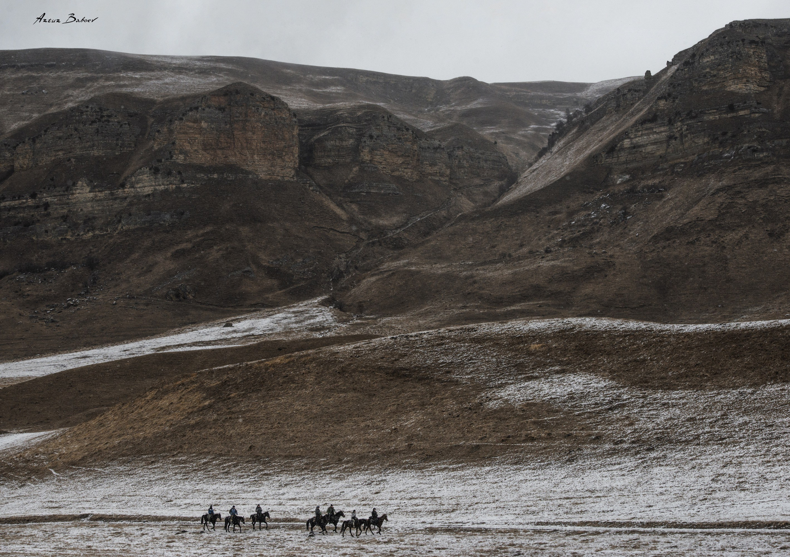 Gallery. Art photos of horses — ARTUR BABOEV | Photographer