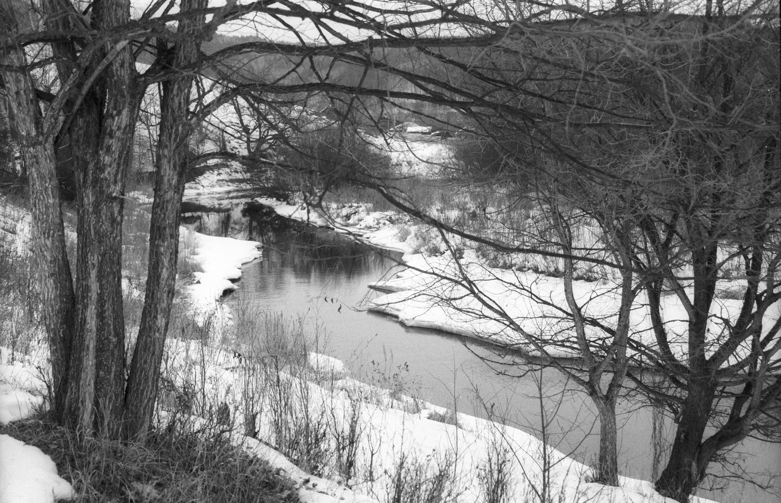 Ноябрь. Фотограф в Санкт-Петербурге Березовский Даниил