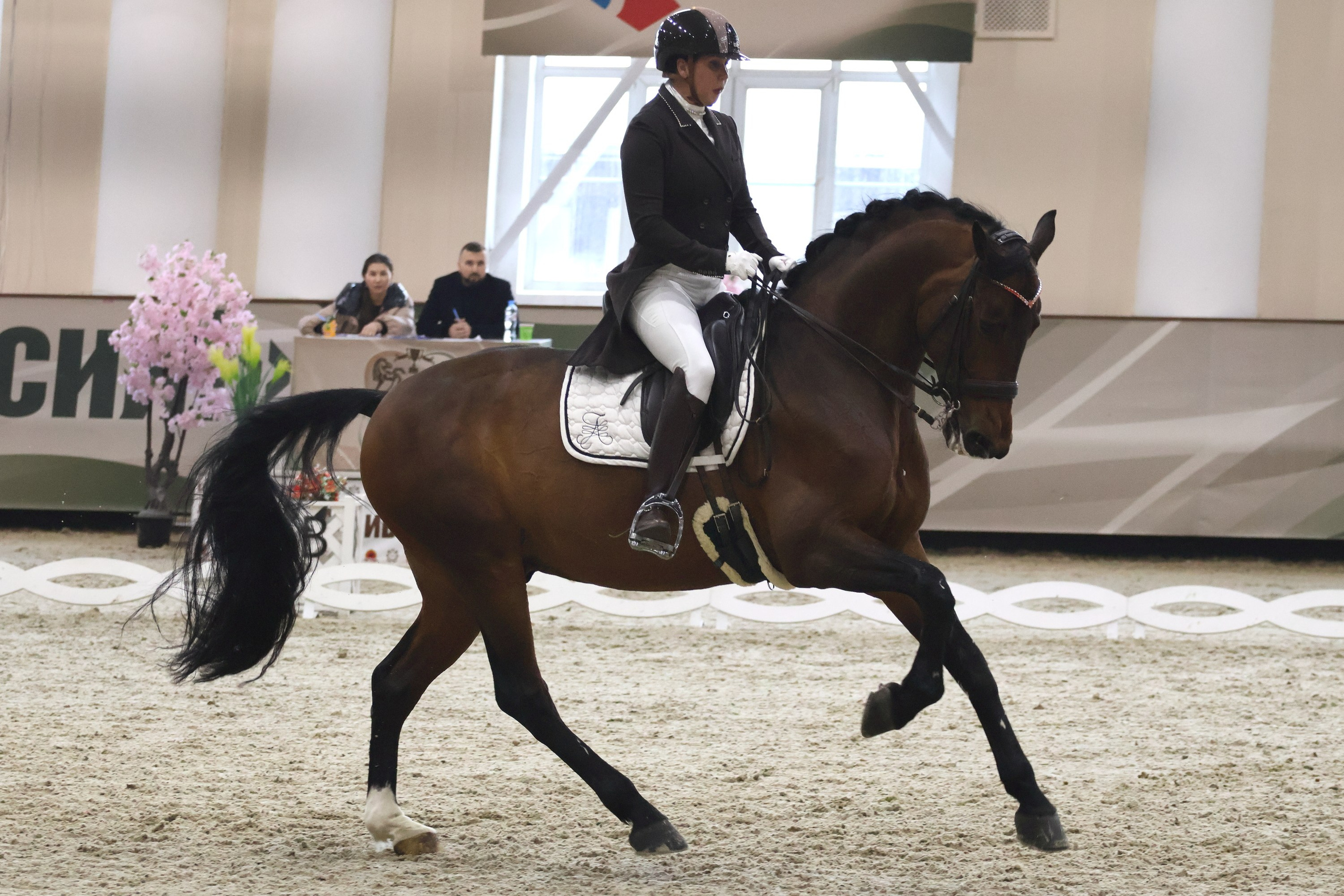 Соревнования по выездке КСК «Виват, Россия!». Спортивный и репортажный фотограф Ермакова Светлана