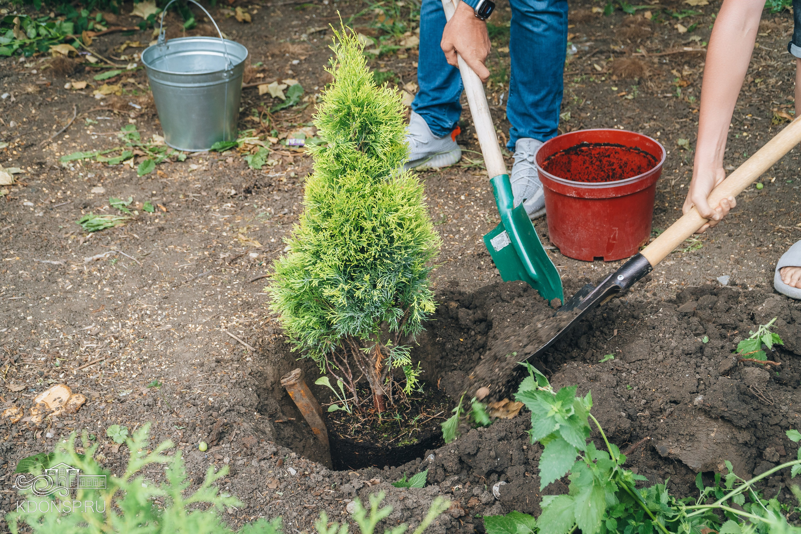 «Сад Памяти». Новотитаровский Дом культуры