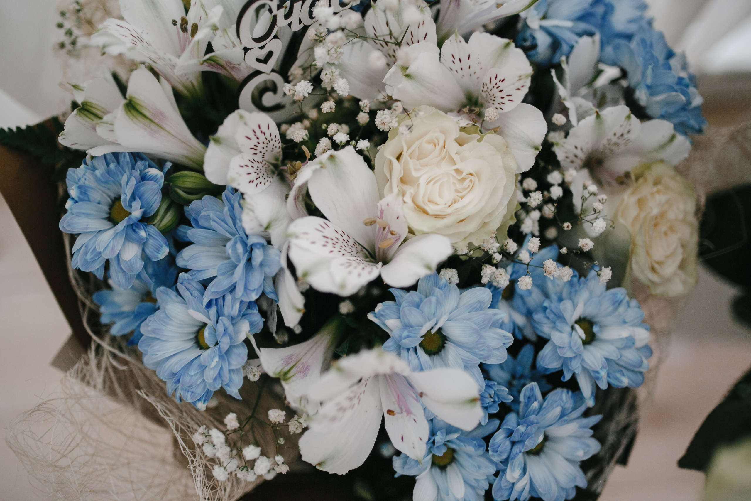 Александр и Алёна. Свадебный и семейный фотограф в Санкт-Петербурге Дмитрий Панин