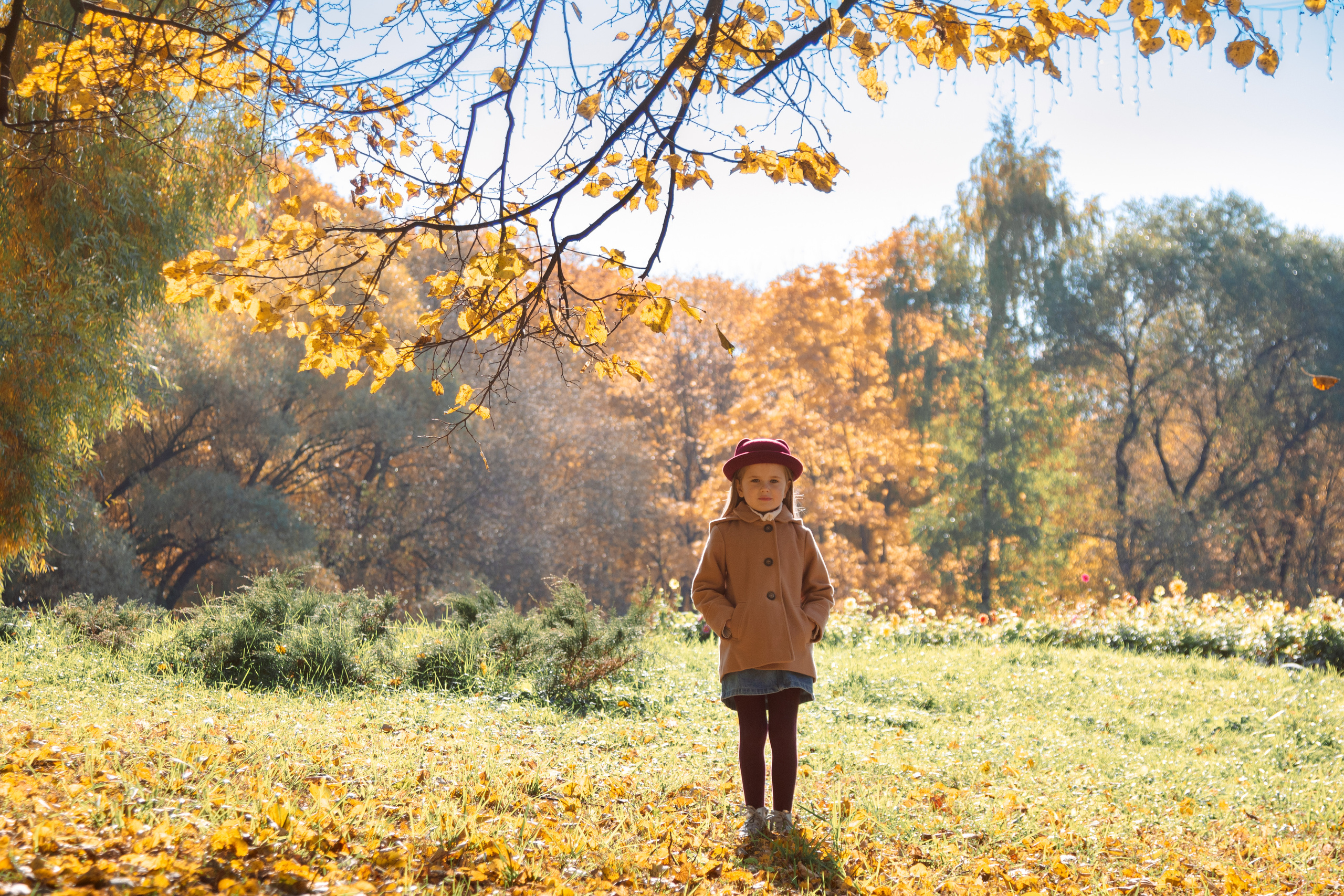Осень в Воронцовском парке. Балетный фотограф в Москве Галина Молчанова